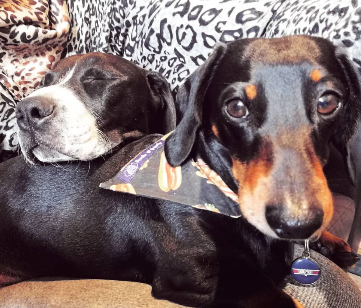 681A9B5E-22D0-453C-849B-3EB34FF3700C