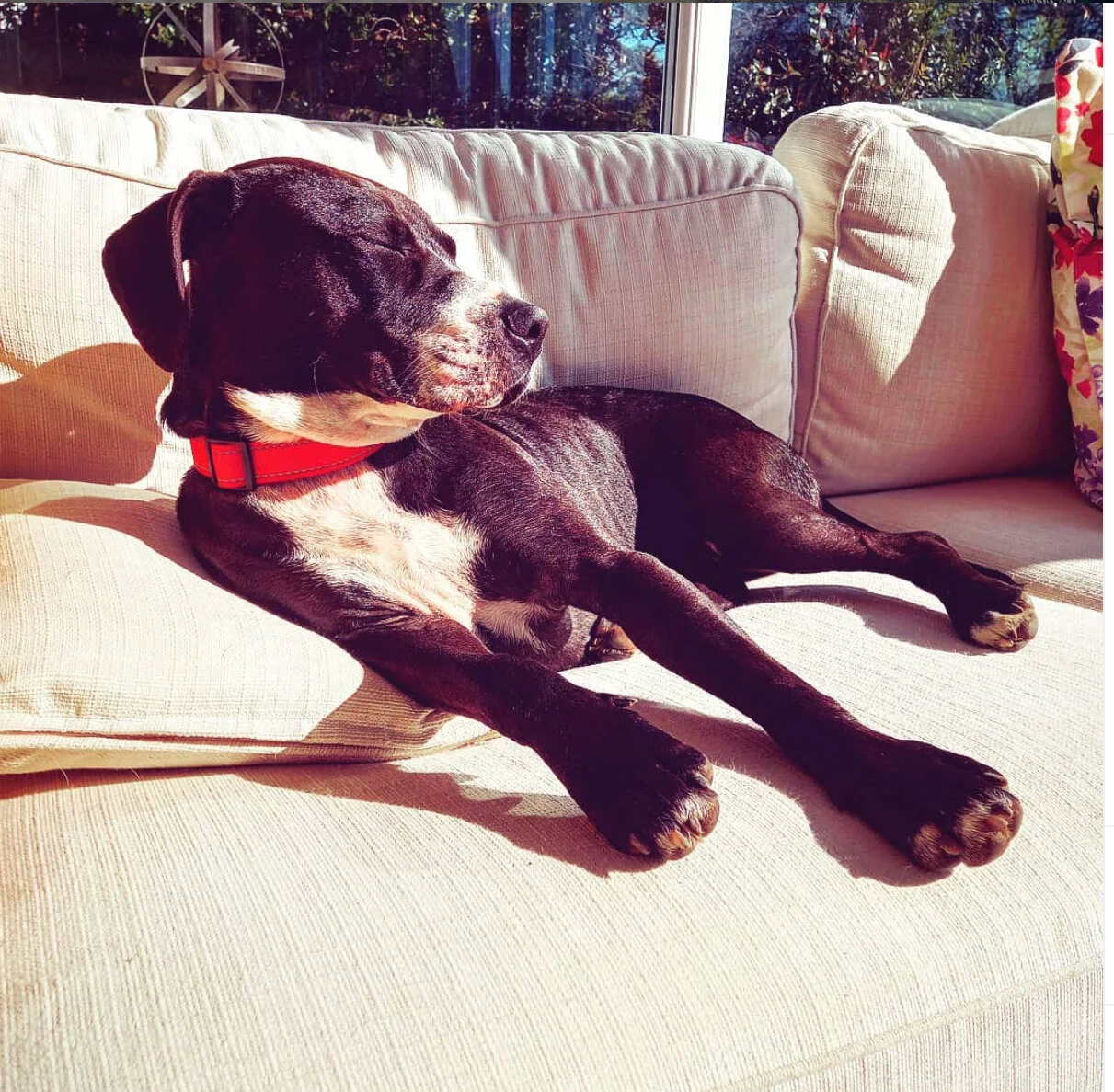 73B8C2BE-6D3E-4F53-B987-FDC7DA6C91DD