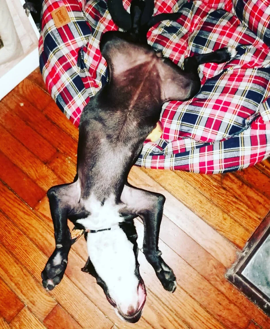 E593BD8F-13AE-4141-9B97-23150A084BE5