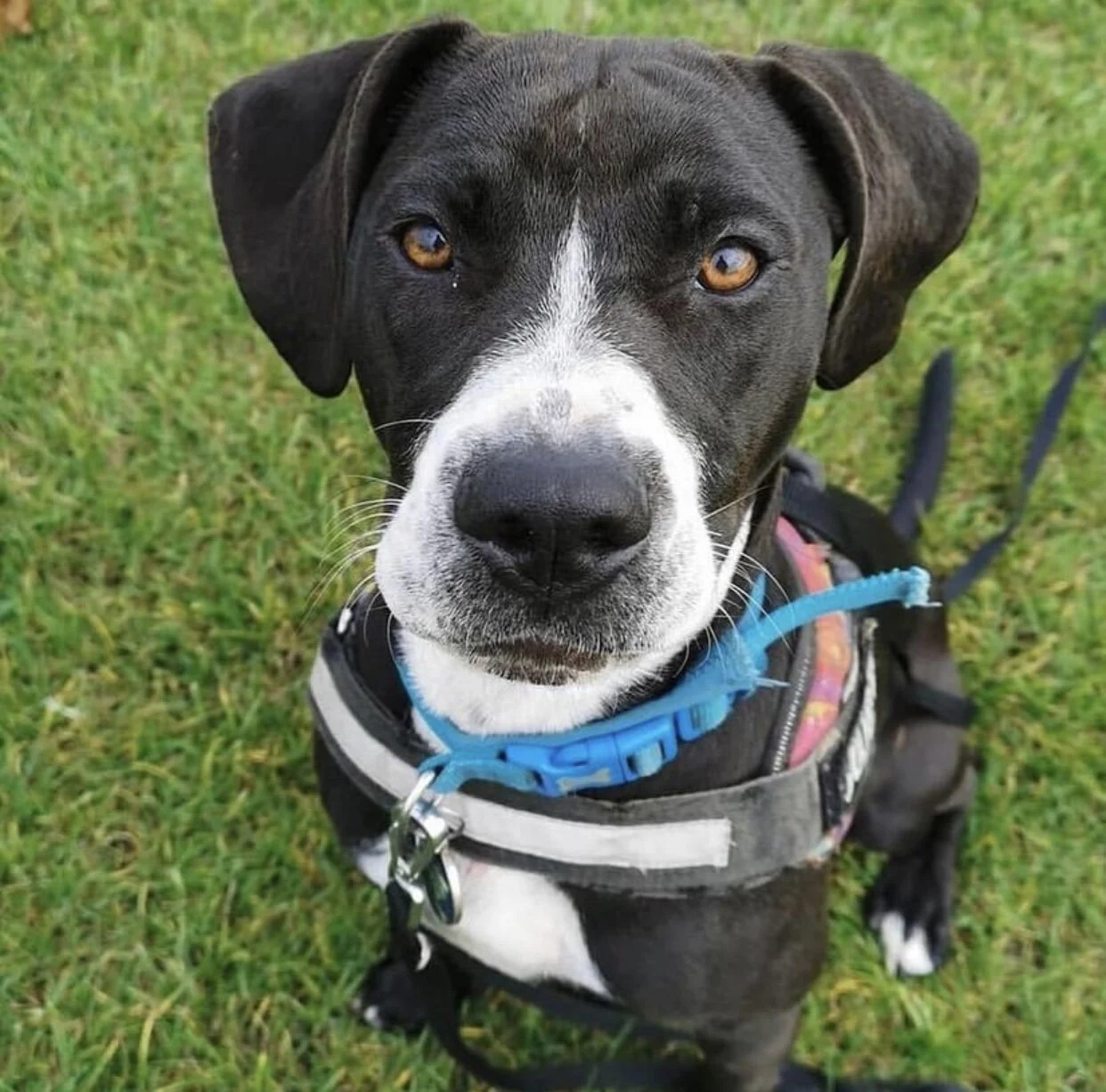 5B616CF2-2367-4026-AC84-8922E727345C