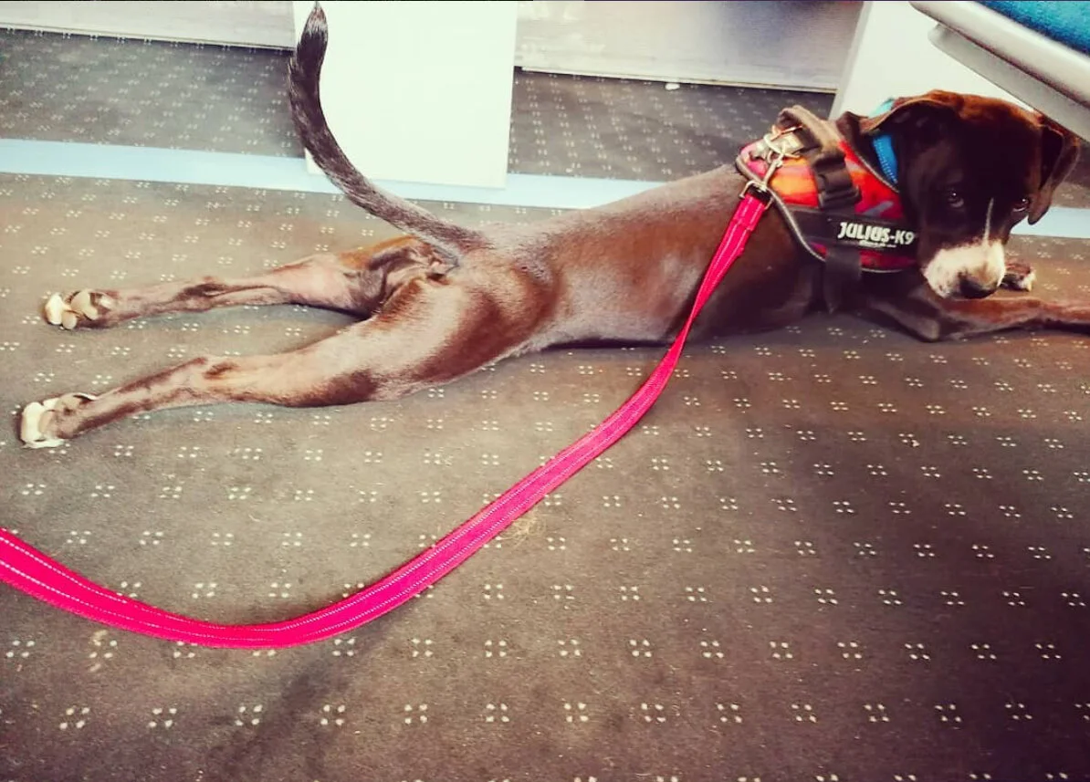 A17F7218-4417-469B-98A5-DA0F807AEF36