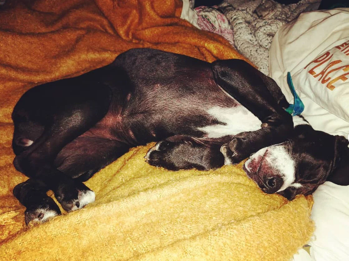 B31B3BC0-7FA1-4DCE-BCD1-BF31477A36FB