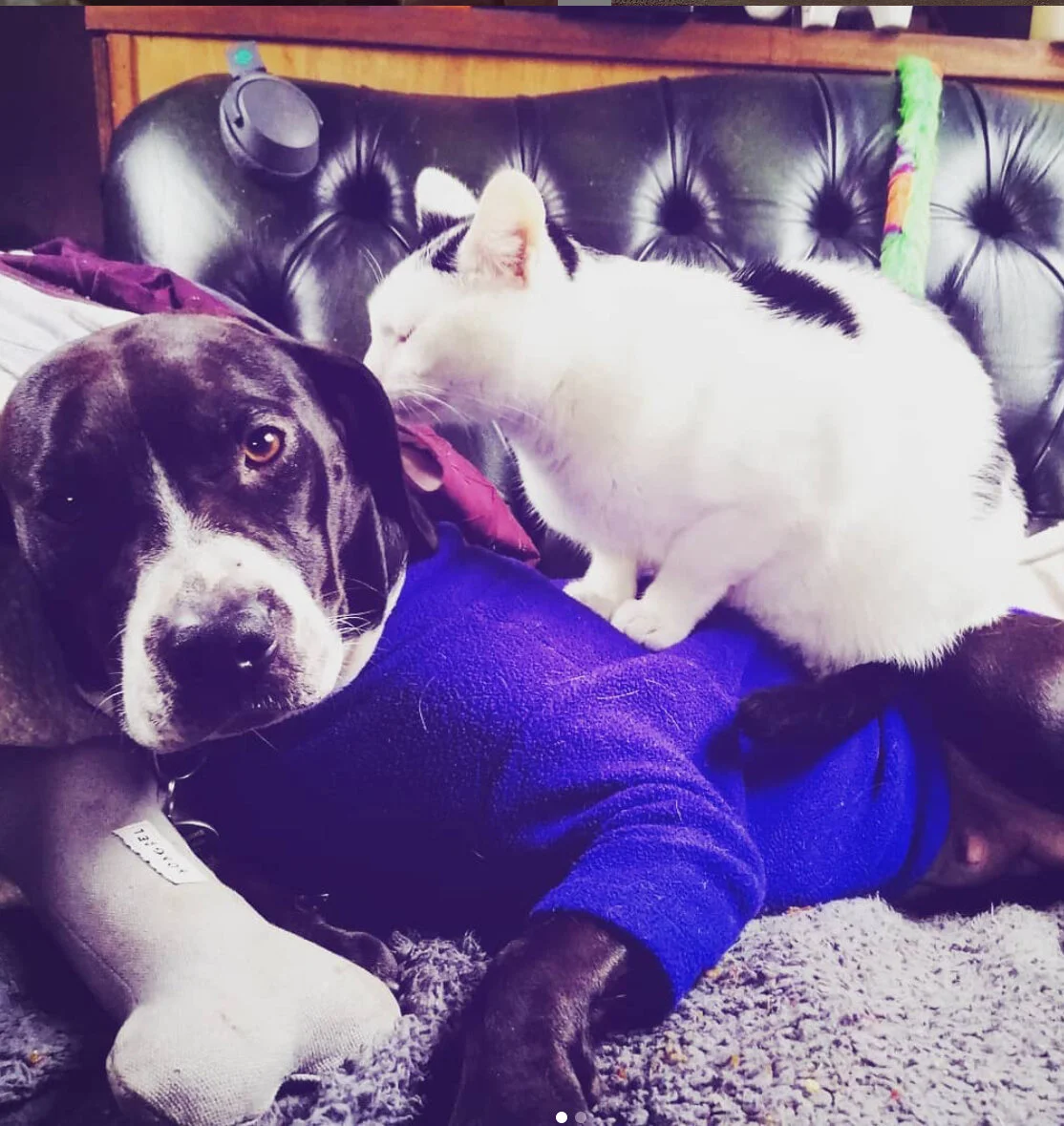 BB0048D9-1B98-405A-9E9A-C4680EFD8818