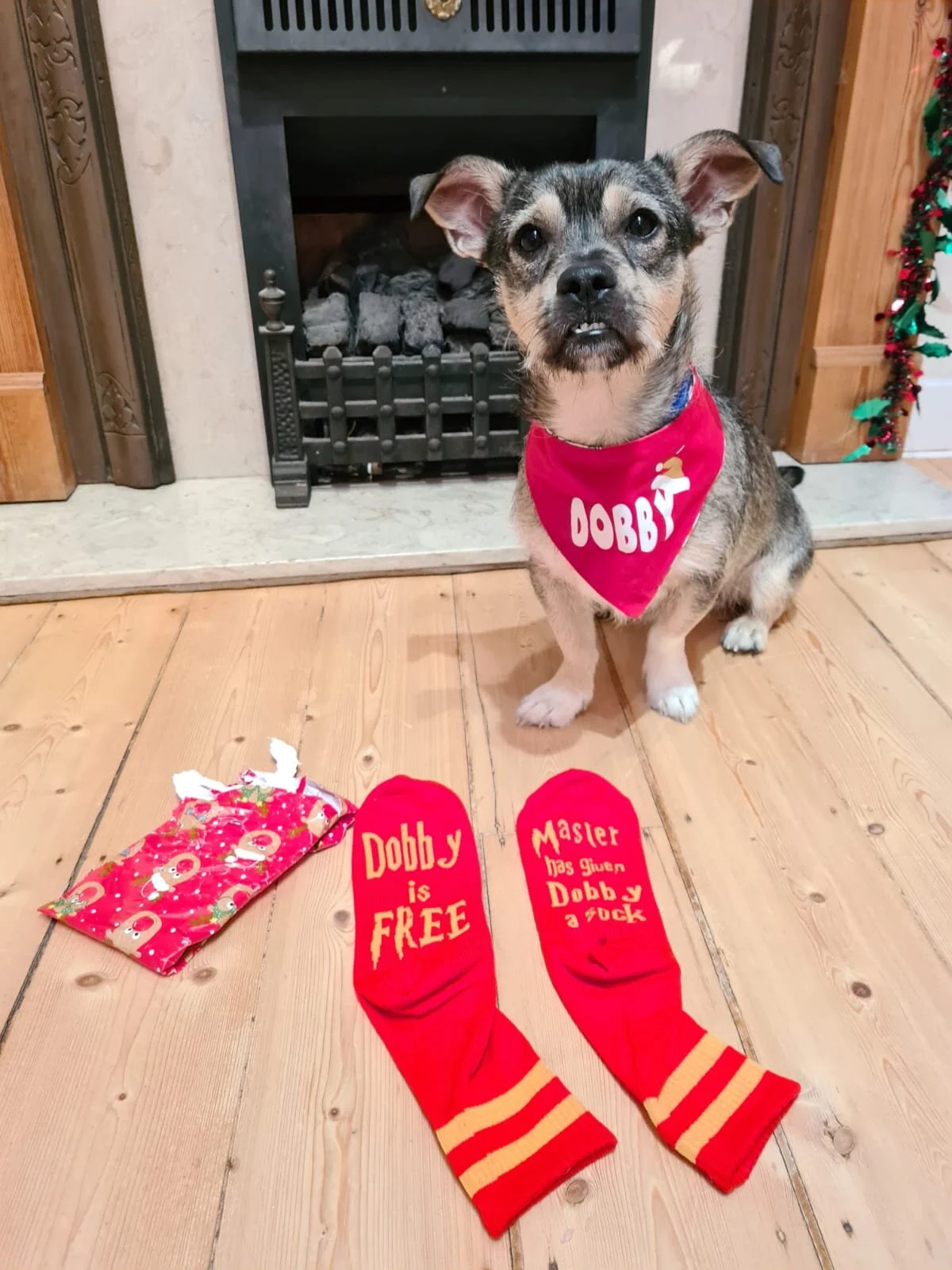 47A1C158-8C55-4F69-AEAF-E7F3E0FC143A