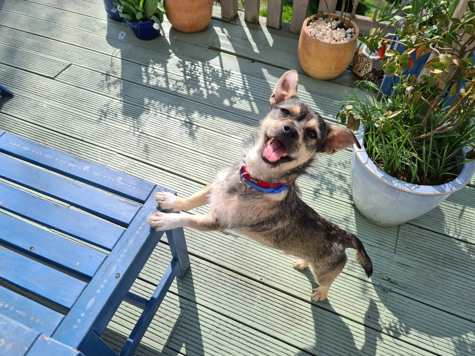 4554EA16-5DB6-4D87-B112-675A190A748A