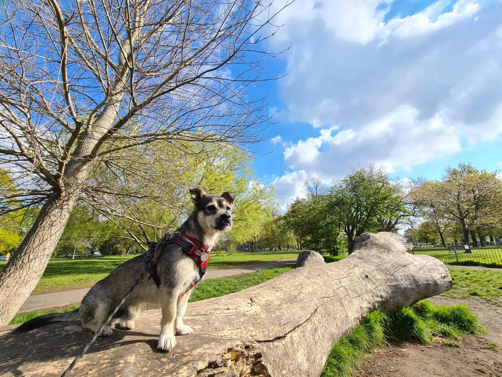 FAD9C6CC-9E9C-4D84-B0F8-46155078428C