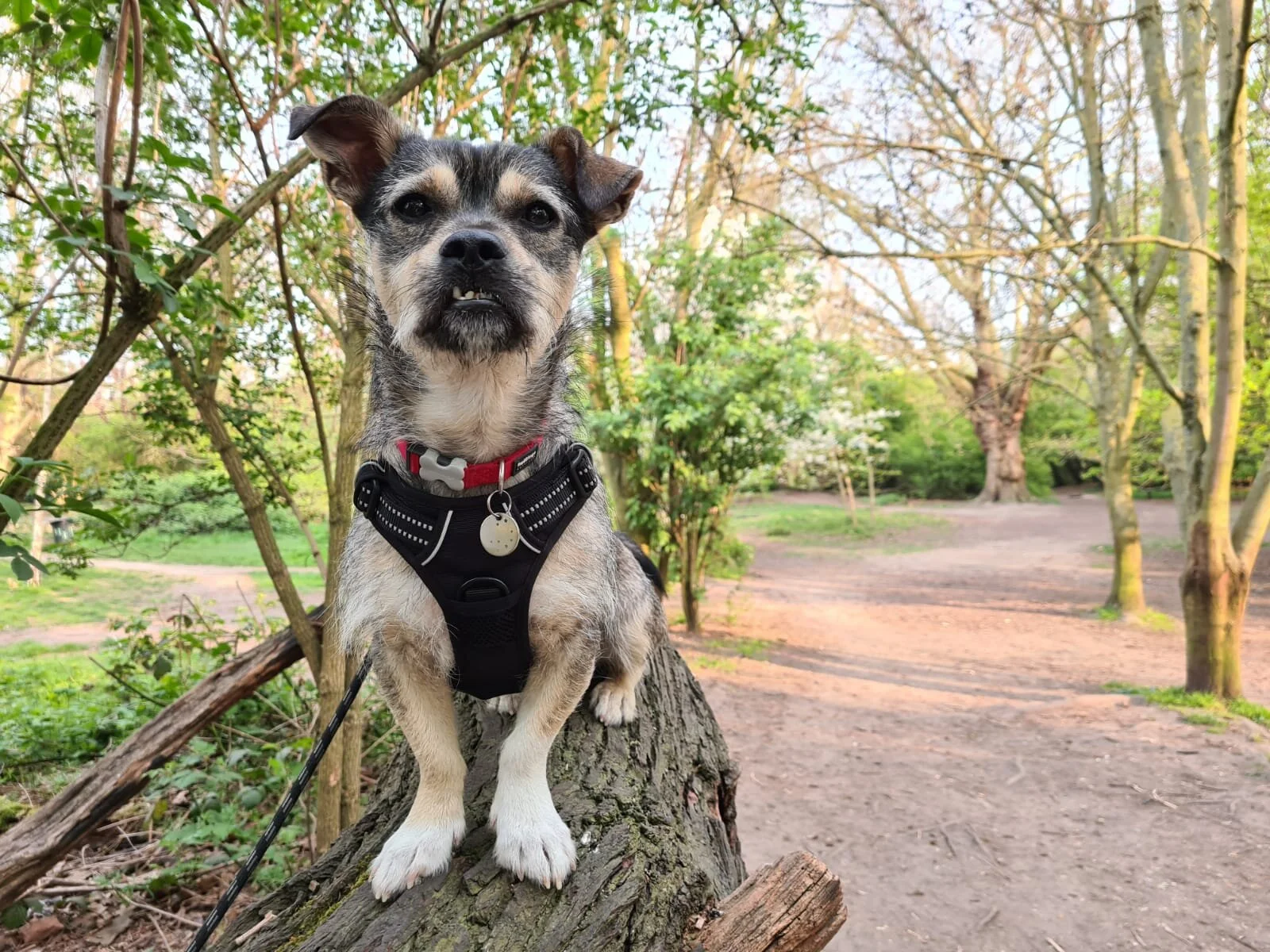 8B5FEC01-C63B-4471-BCAF-00578D53CAE1