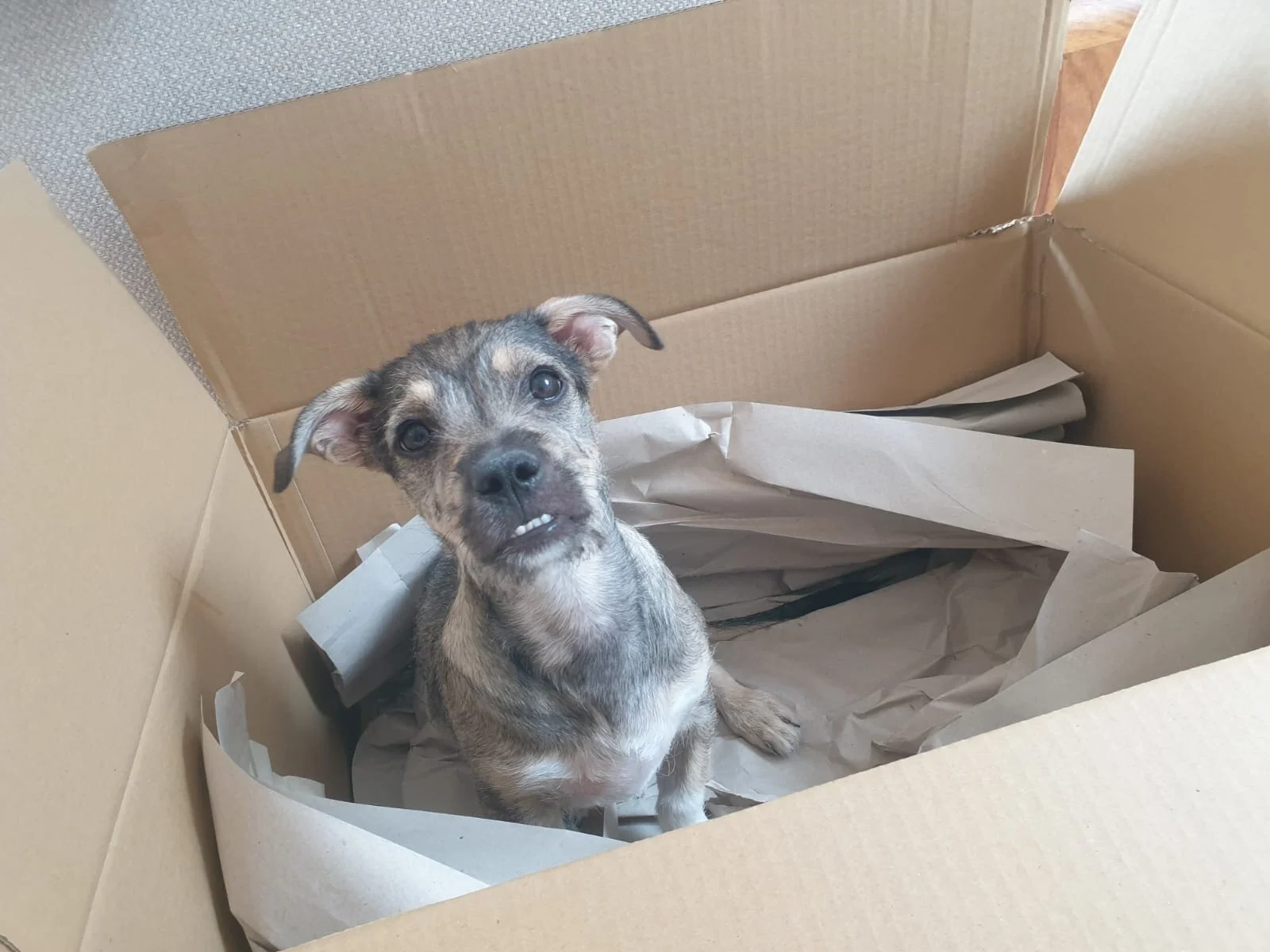 5F9D757E-08F5-4B9A-9BA9-580F8545673D