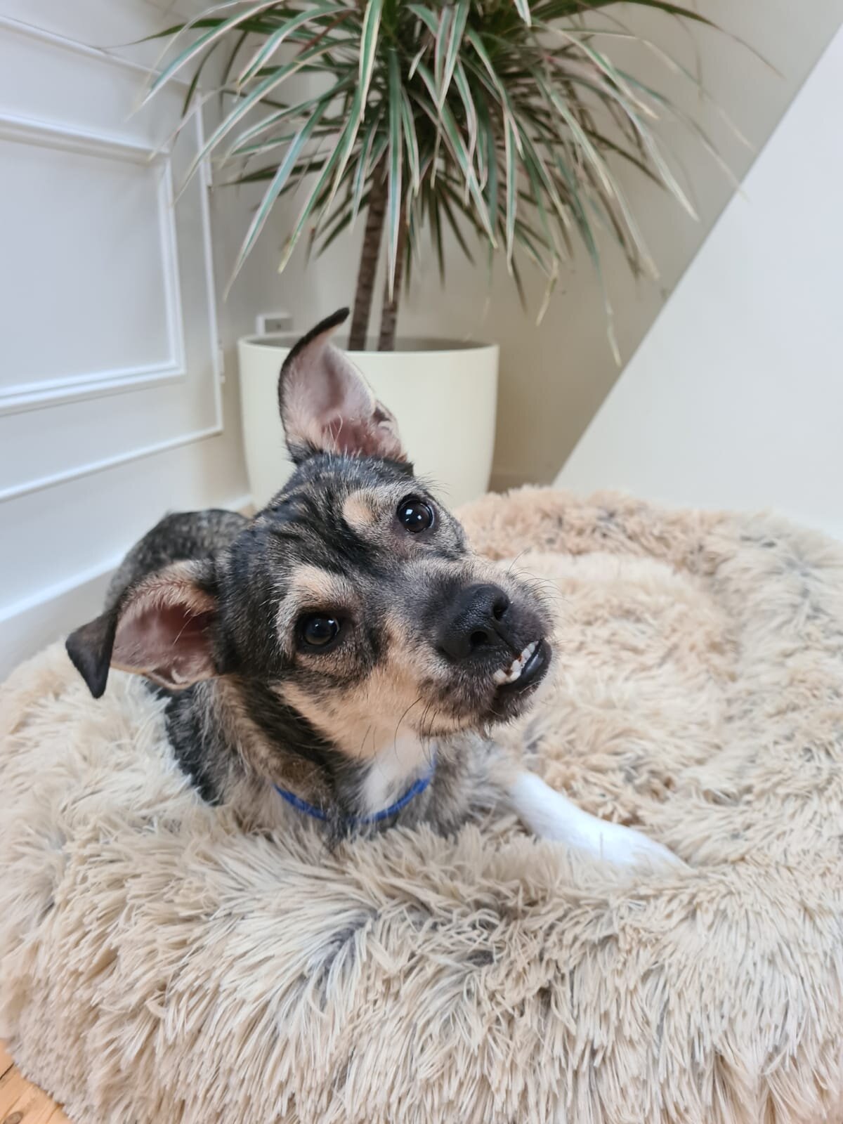 ED4FA108-665D-47E2-A738-05A6DFCD7D64