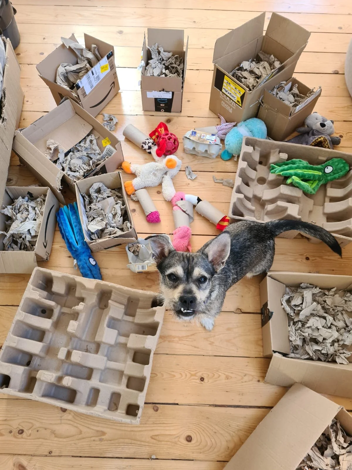 7BA9617D-E95D-43FB-8FD9-5F6DA431436A