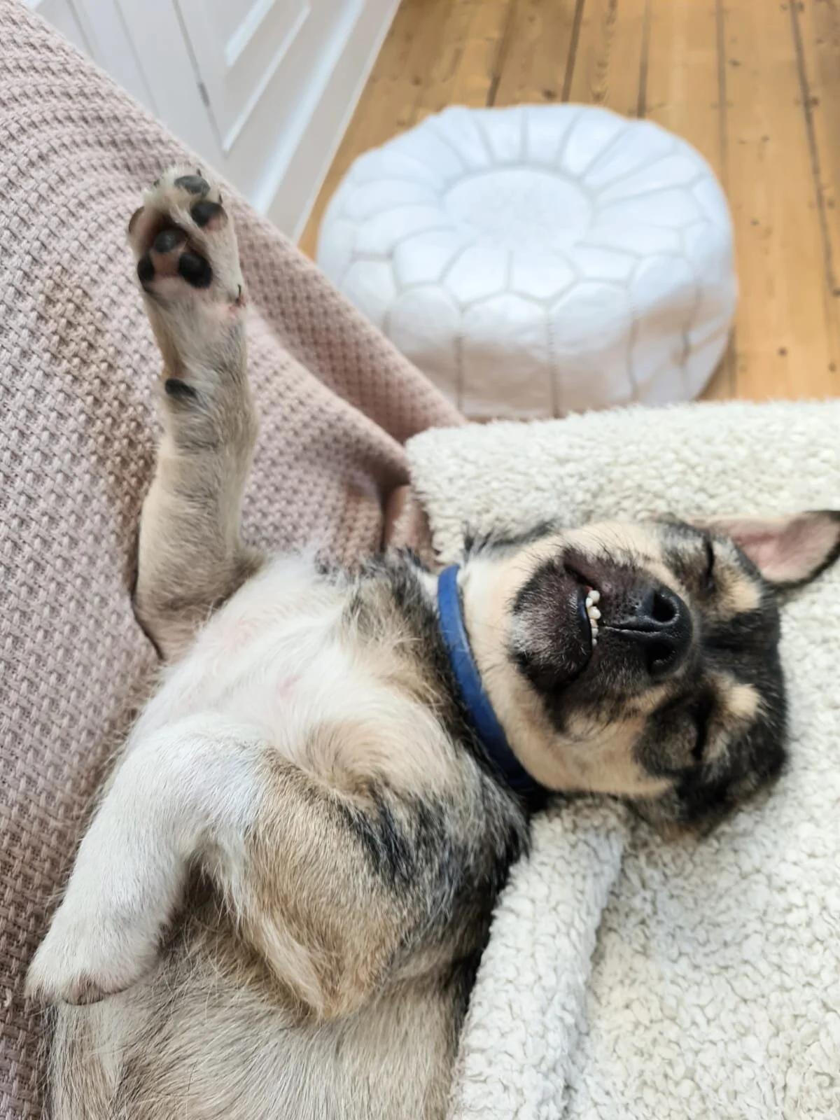 D28B01FD-0AB7-40DD-9675-88A8D73DEE7C