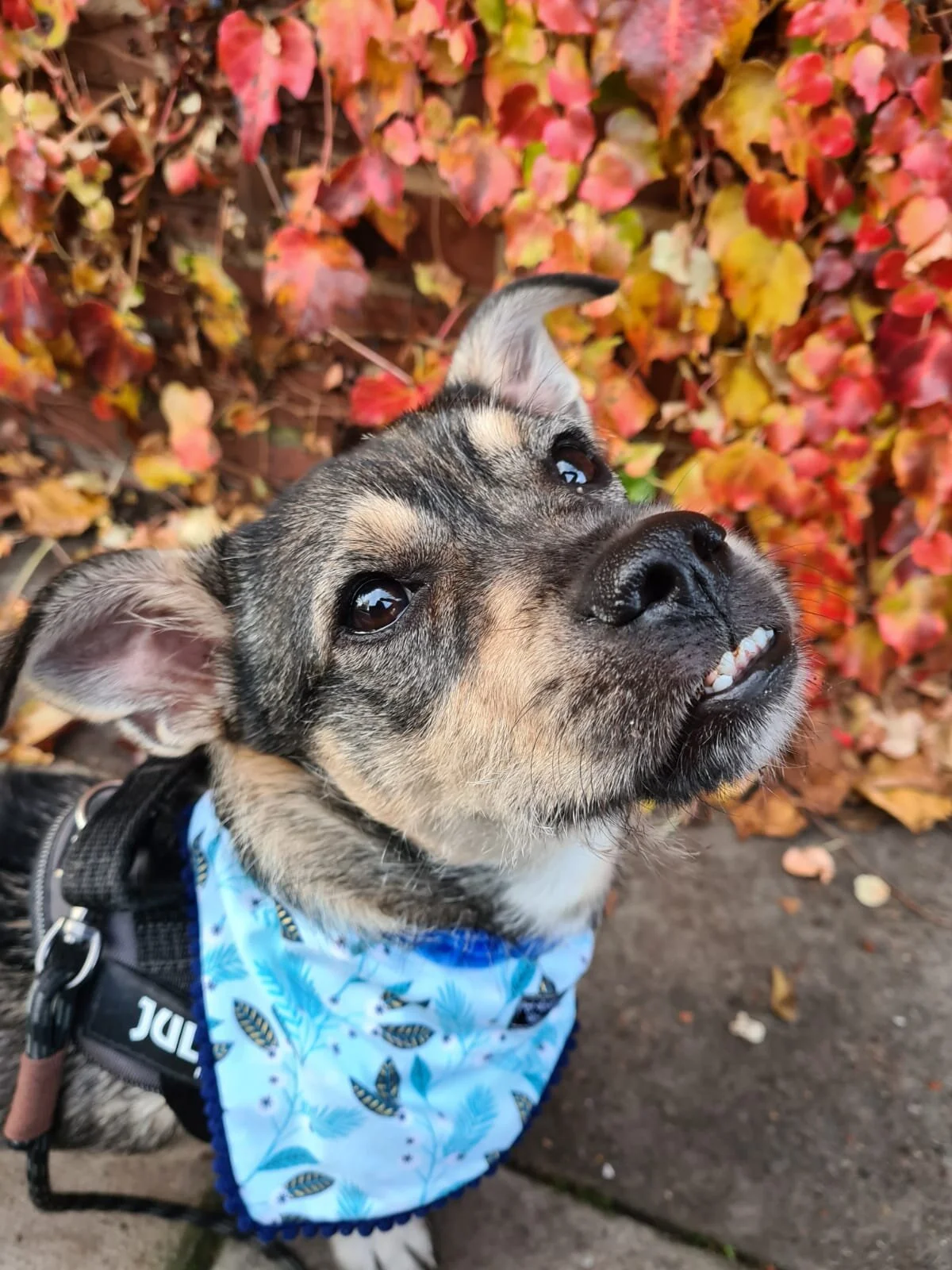 42730A7B-0ED9-4AD5-A085-EB602A7ACD5A