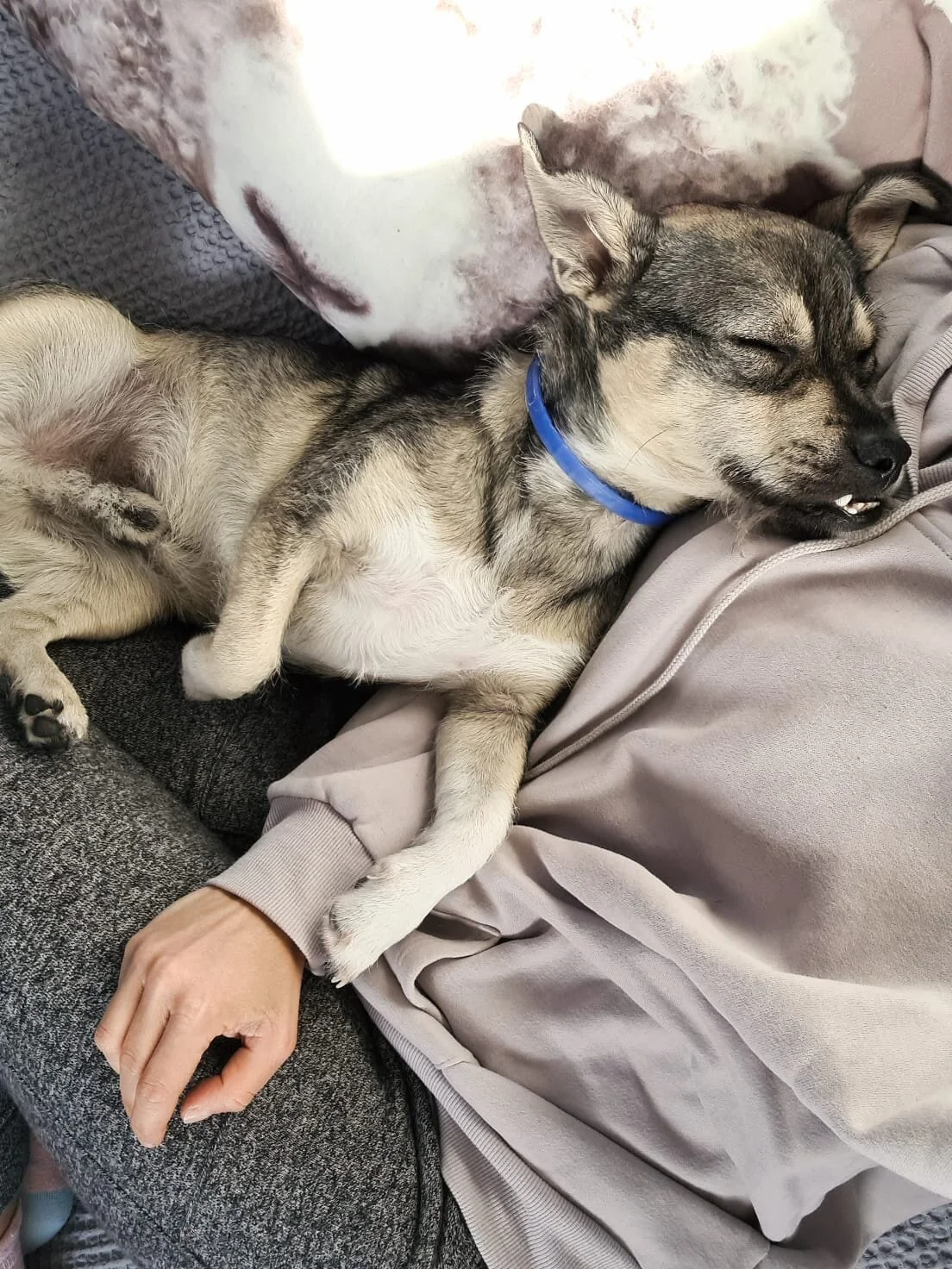 73BCA2D6-A395-4E05-A12C-6AC254038AB7