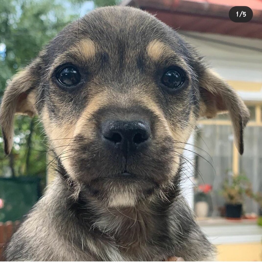 126D6CC1-AC67-4E25-86C3-570374AC0429