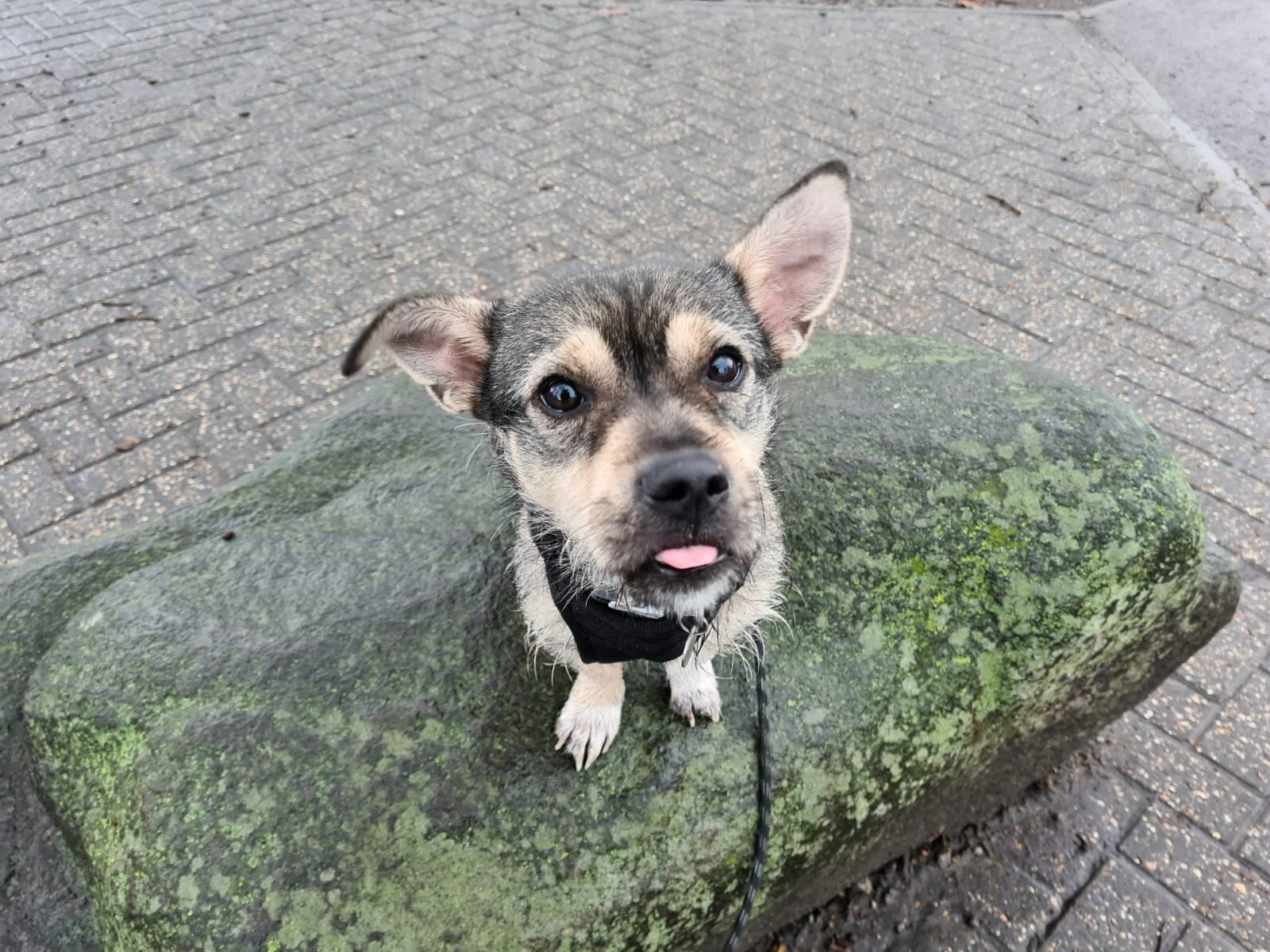 580FA864-C3EC-40FE-9EAF-EE27D53CEA7C