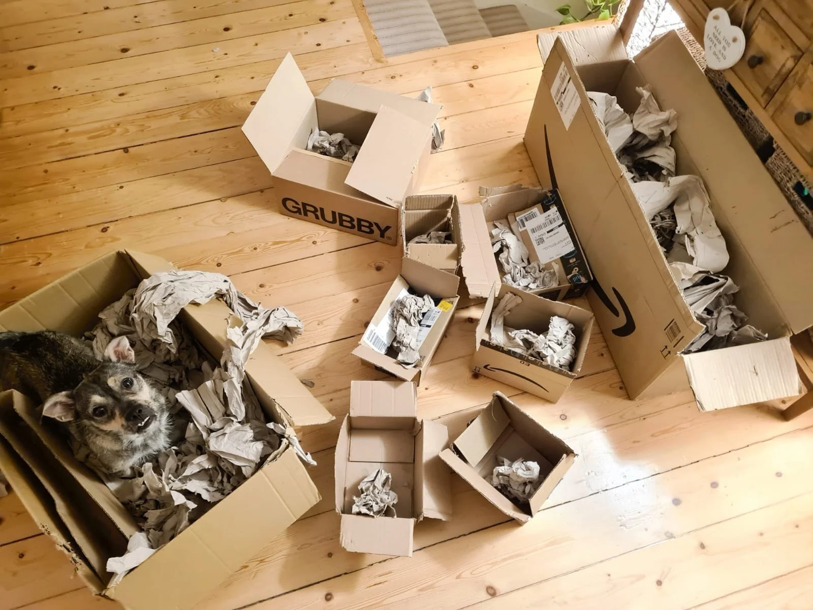 B4B970A8-C01E-4348-95A4-A734234E7DBF