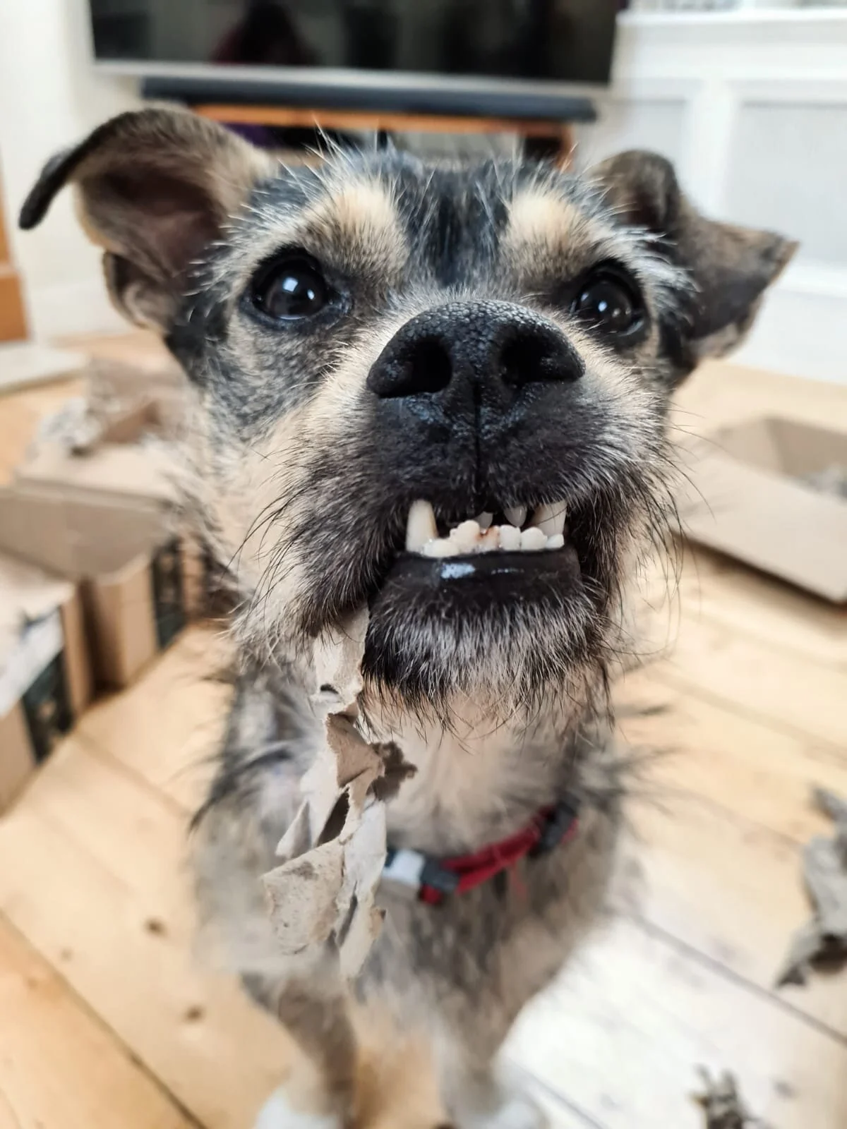 E5CBBDD5-3F69-4C34-87B9-B088A73435FB