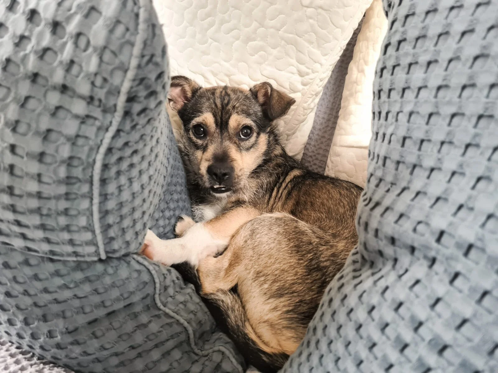 9212083E-964E-4A30-B555-705DB91A0073