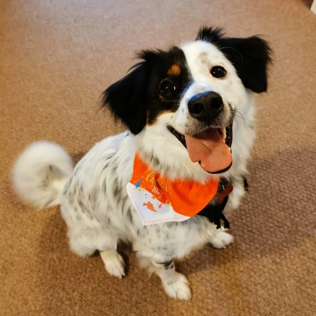 E66AFBFE-D815-4C45-B03B-112D3797B390