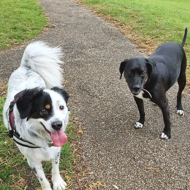 3B6DAC2D-D8E0-490A-993F-CAF51F7119B2