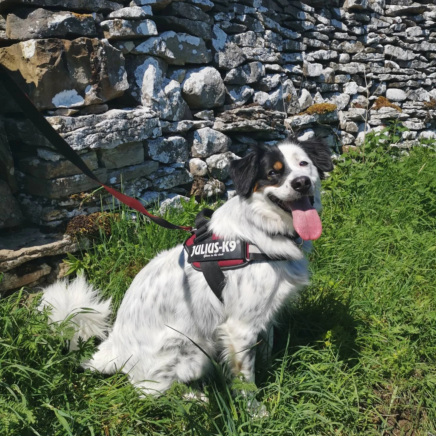 8D2BCD39-17FD-4199-BAD5-A8F2B308DC01