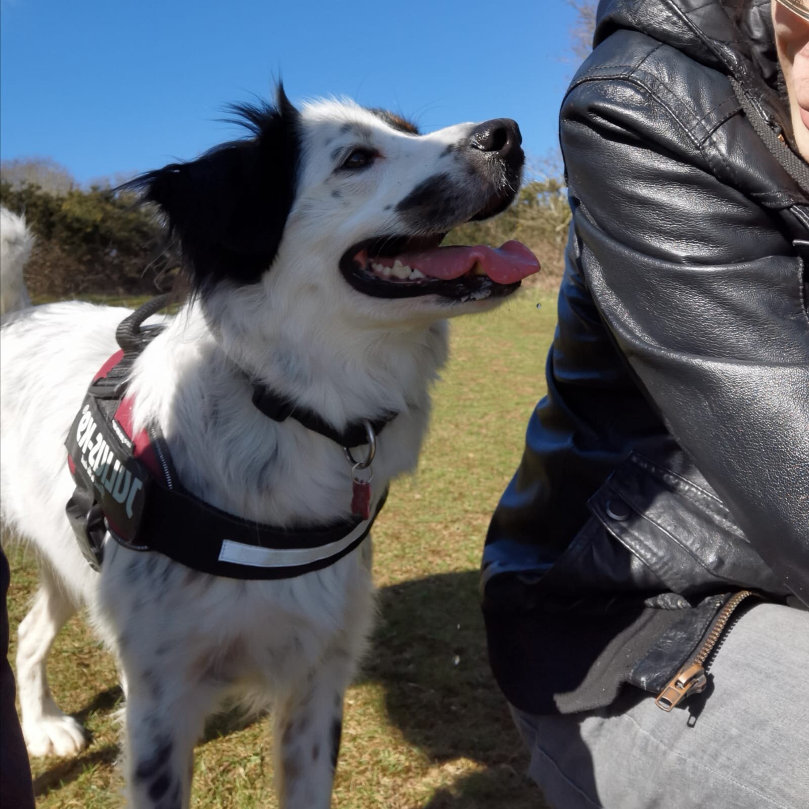 5C1D8871-989F-4A27-8DEE-744DE2566EB8