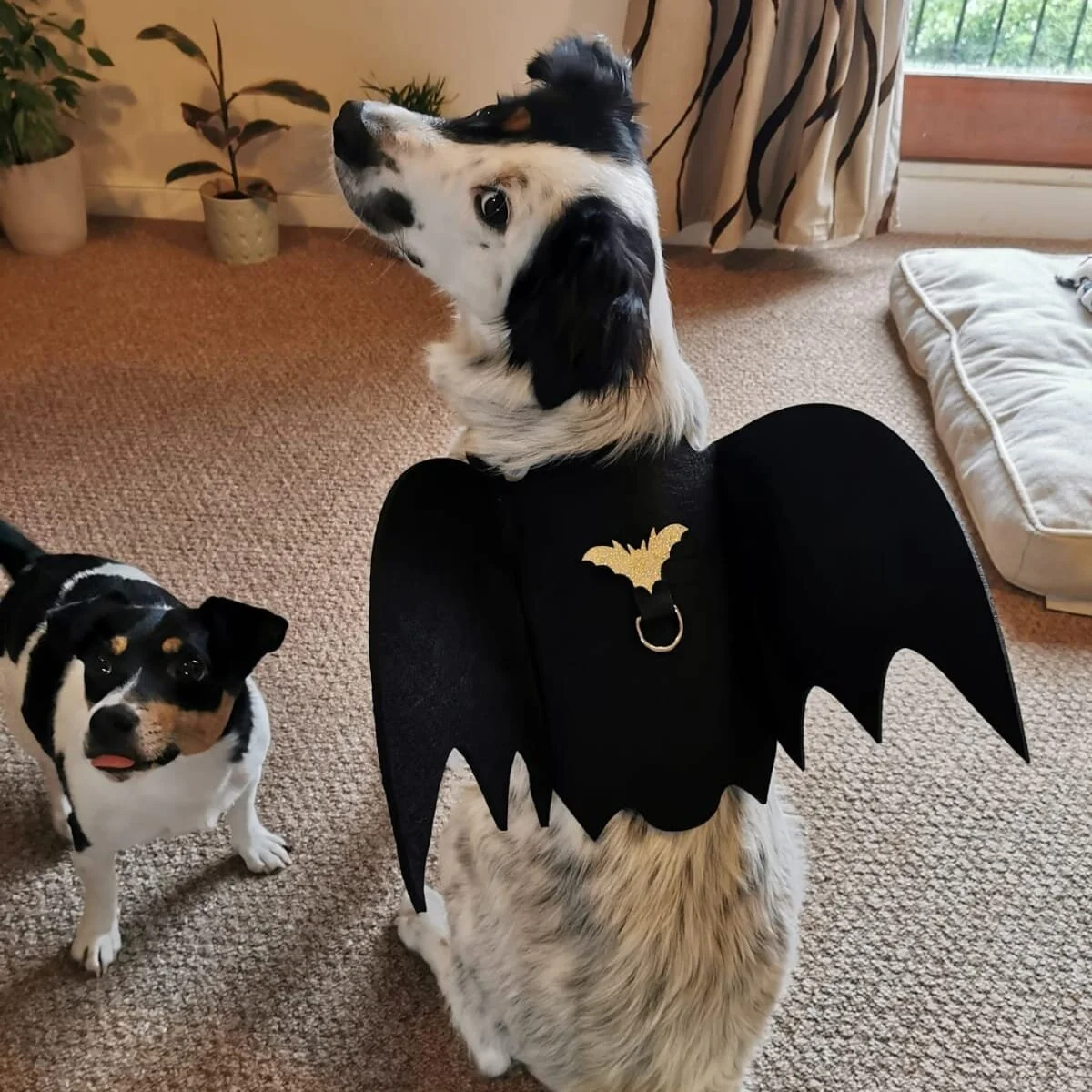 B9C8F07F-FE89-474D-A562-191FA00871F6