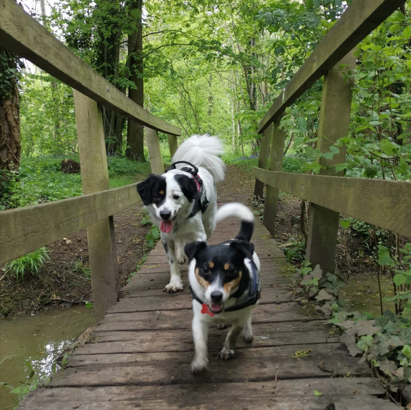 67A0E2F4-3042-4889-99EC-BC2C36E98C8C