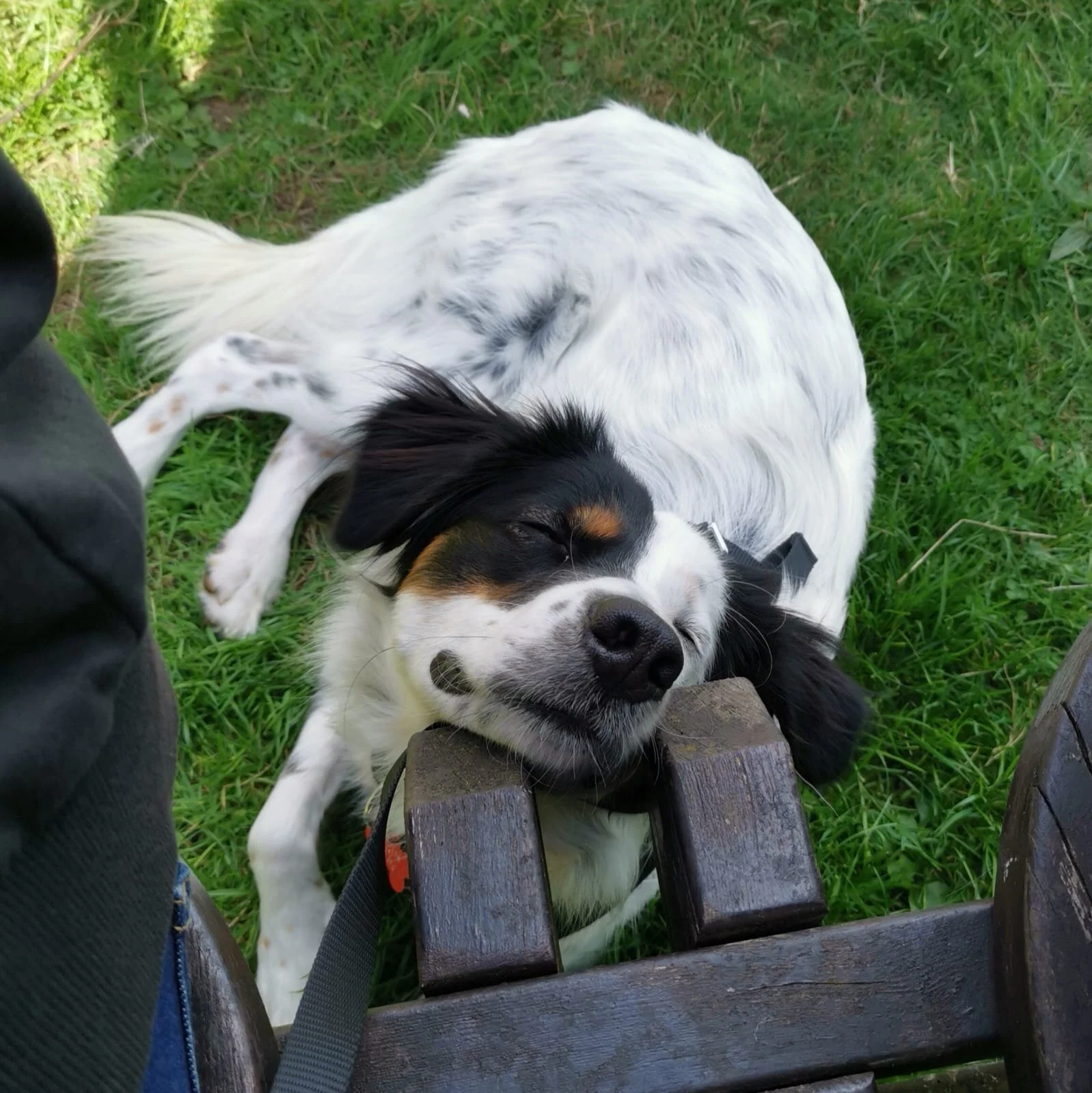 8448194C-5C6F-481B-932F-01BFF6F807A3