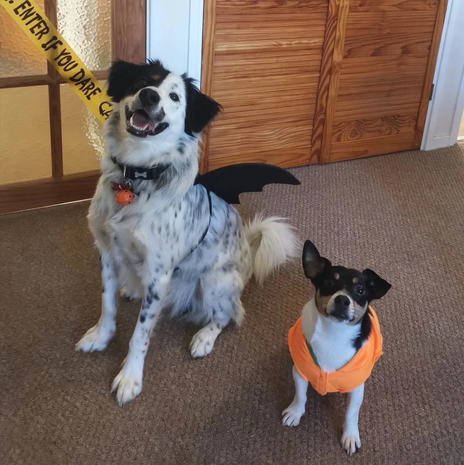 B0366B26-7E55-4BDC-8A52-739DE38DF876