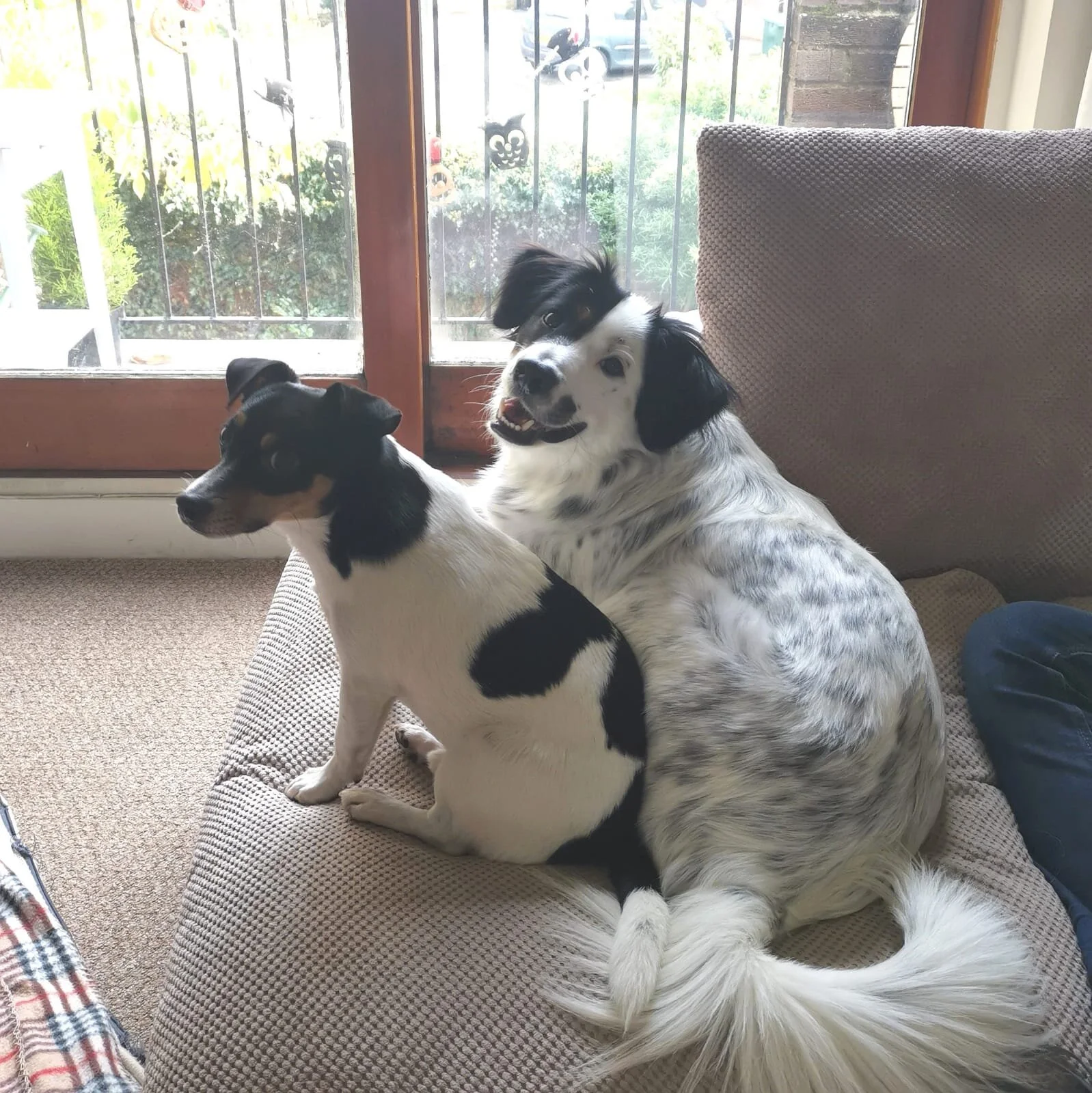 B9EA6517-5385-4ED3-9722-84D463FB3B45