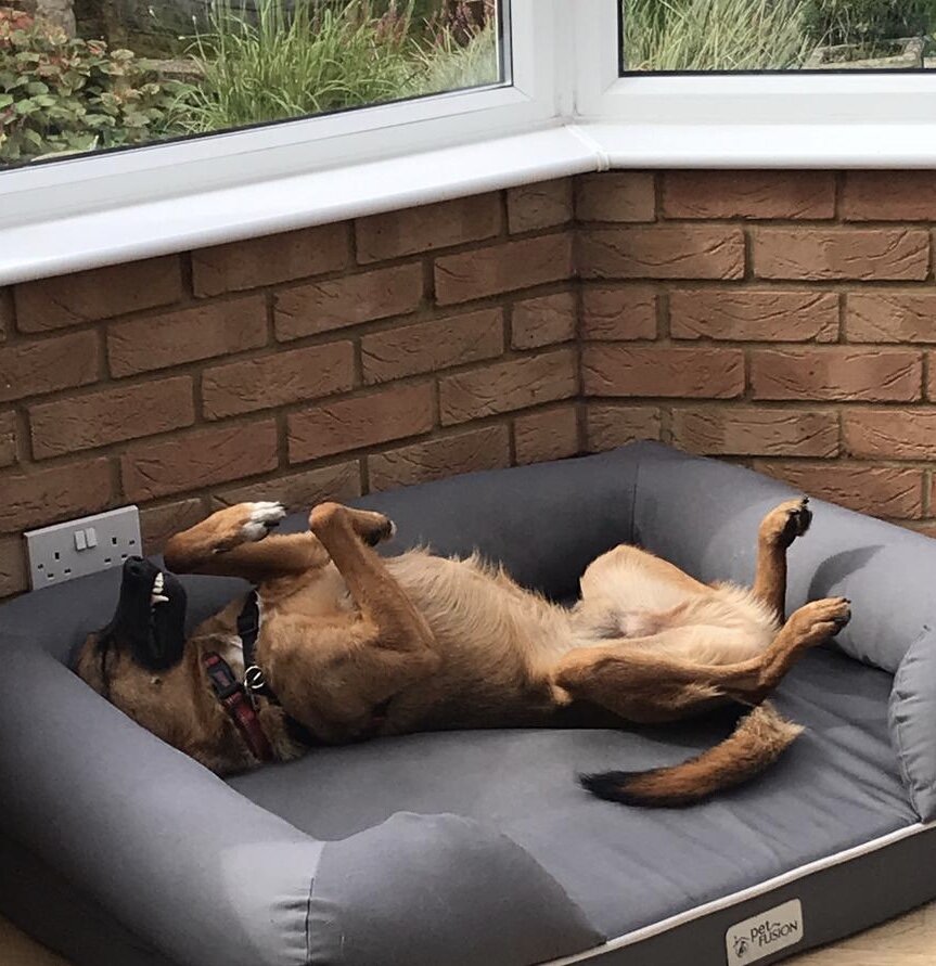 7AF5E7DF-4247-47A0-8604-E1A63AEDA2FE