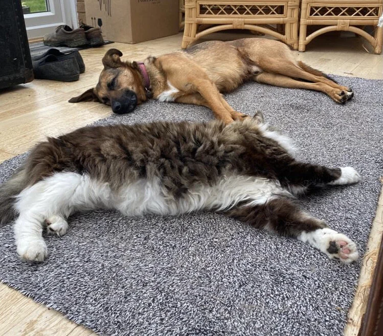 B1FD95F2-3D68-4D51-981E-167BC52351E4