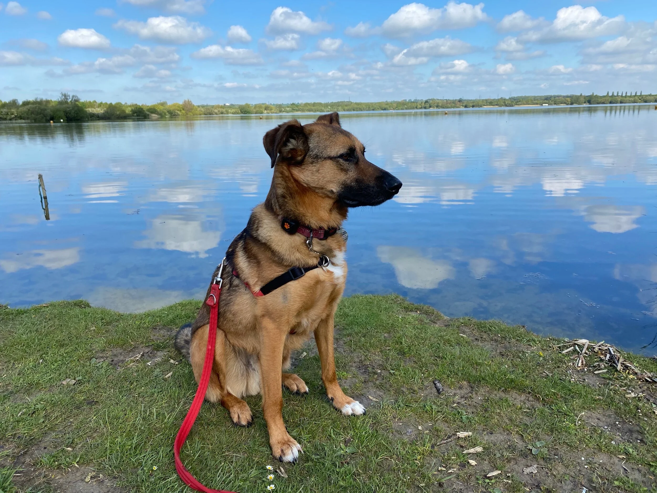 488FE8F8-9178-403A-8BFA-64F8BDE662DB