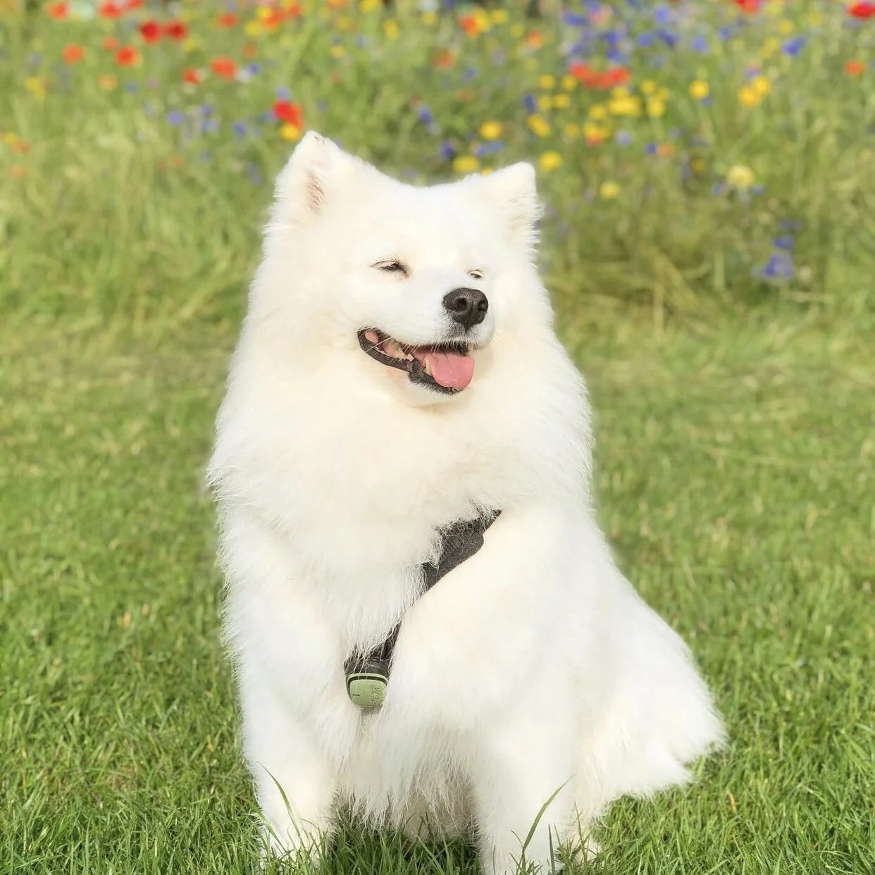 A67C5034-B74C-42AA-B2C2-87ECE9AB5733