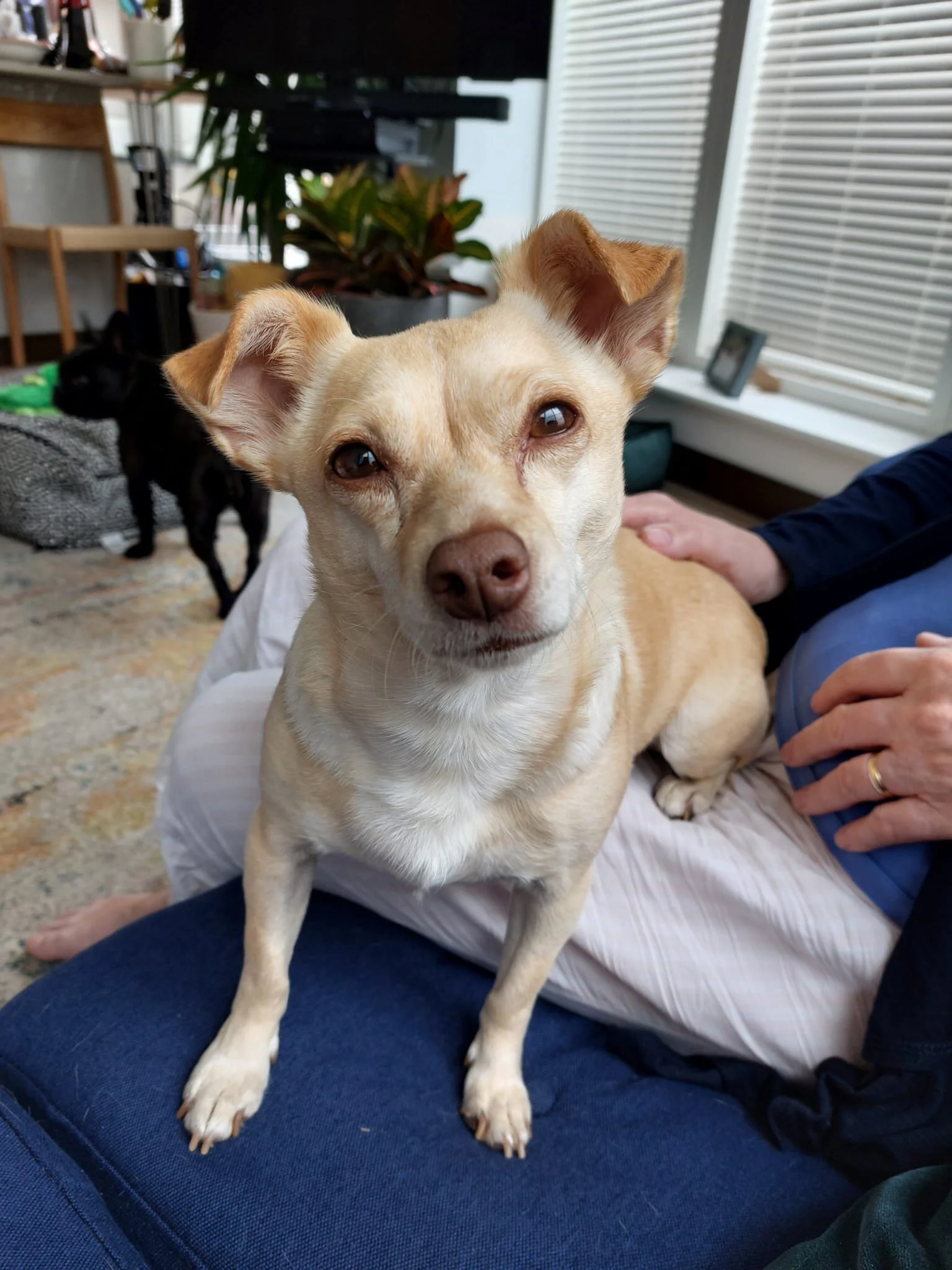 4FA96658-DF9A-4FFA-99ED-1FE9C619F25D