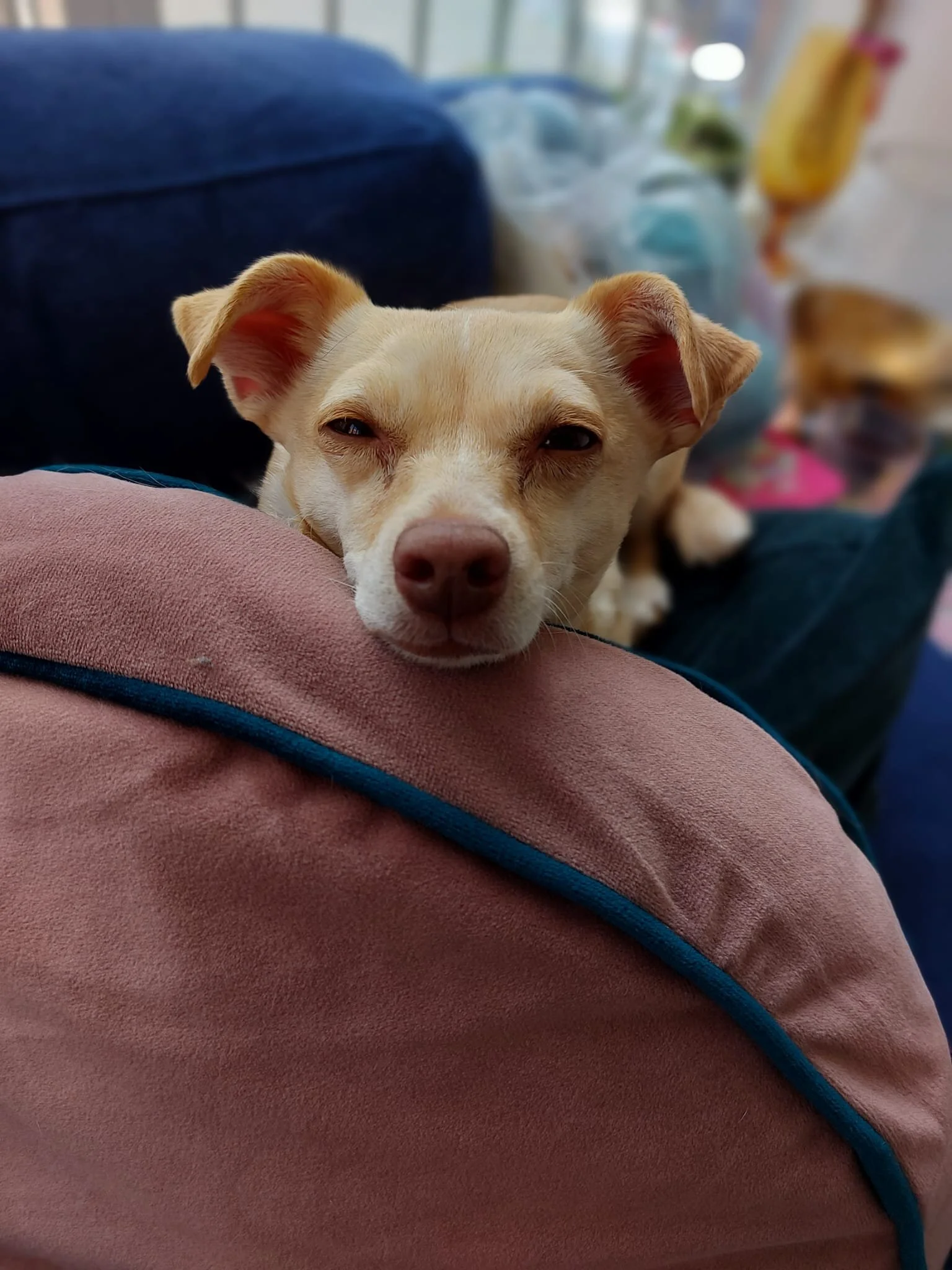 382B4FFC-8464-4880-90FE-41A45019AB7C