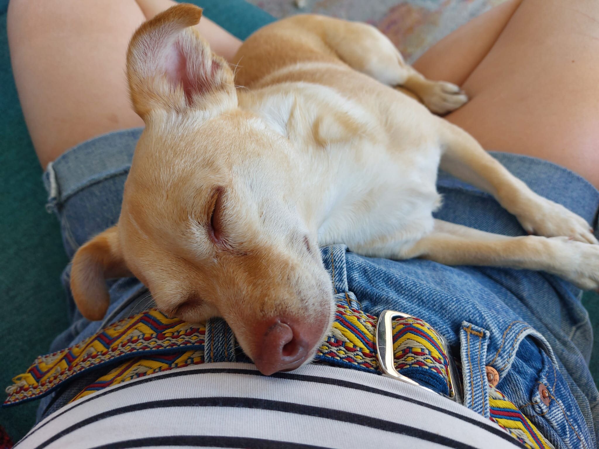 E77BFFCF-2855-468C-AA7D-A030694AB5F2