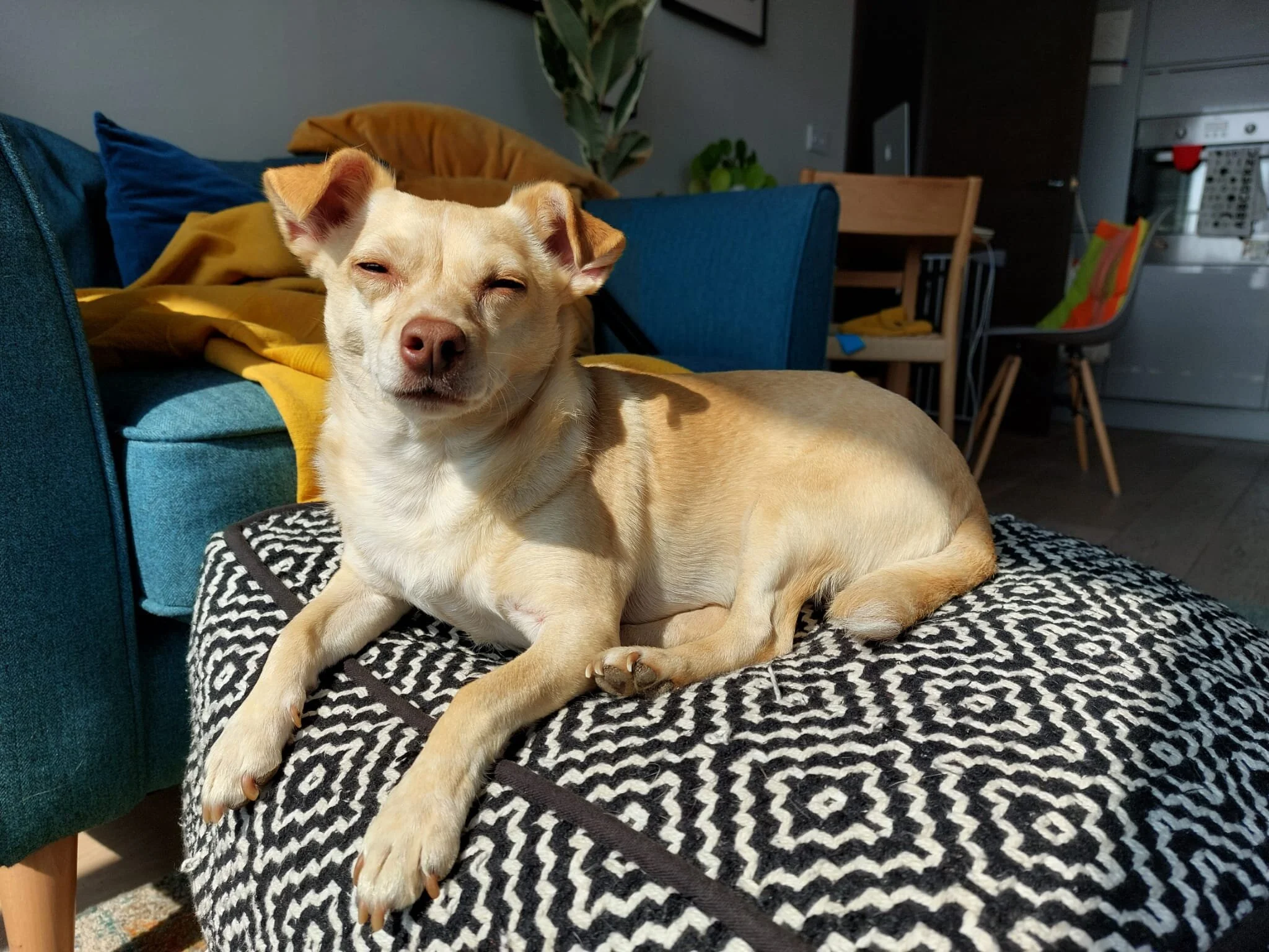 8721F951-5EC7-4CC5-A883-AA534F5D898F