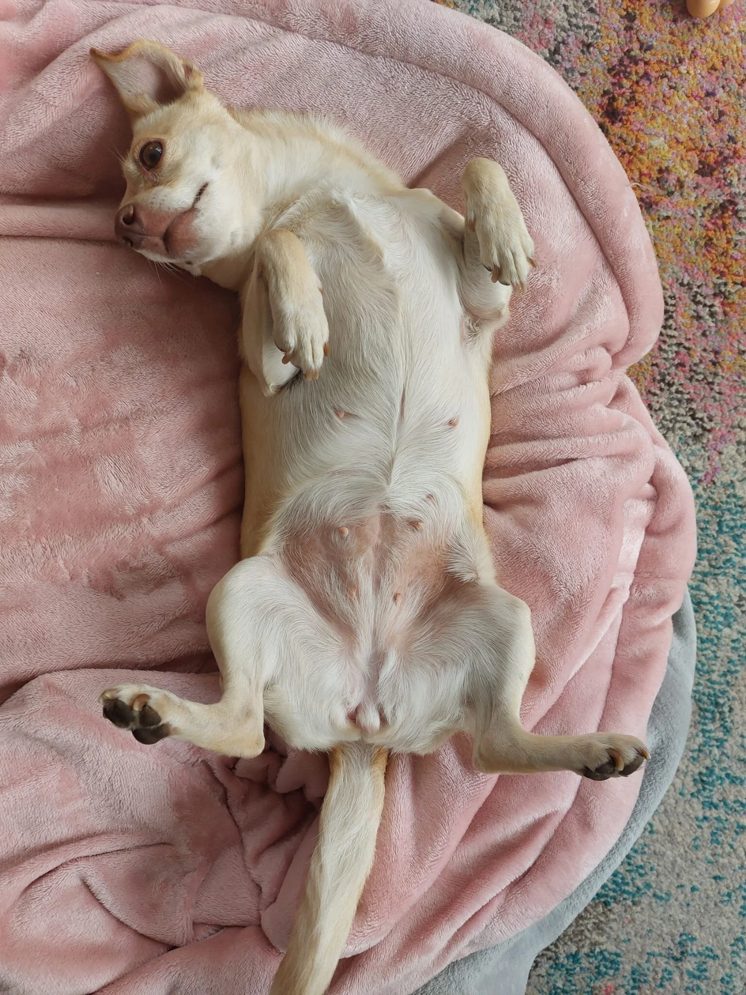 F7C31B93-C474-45C9-BEAE-CA8CF091A827