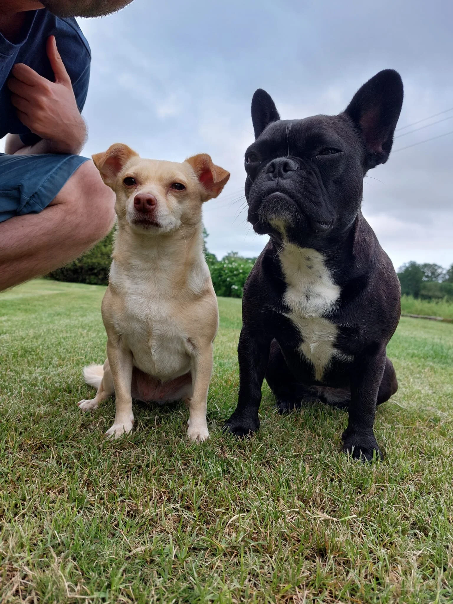 EACB1A2F-FD79-4F48-93E7-C9193B36F35D