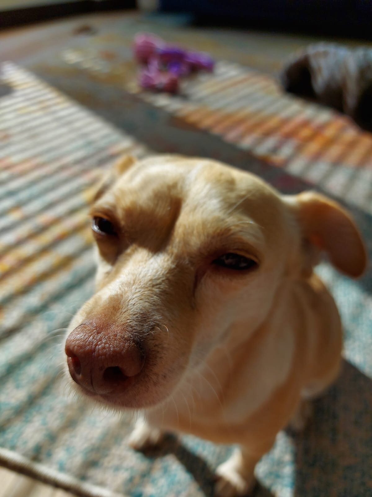 5152D4A6-0DF6-420F-B2CA-CB0448E0C0A9