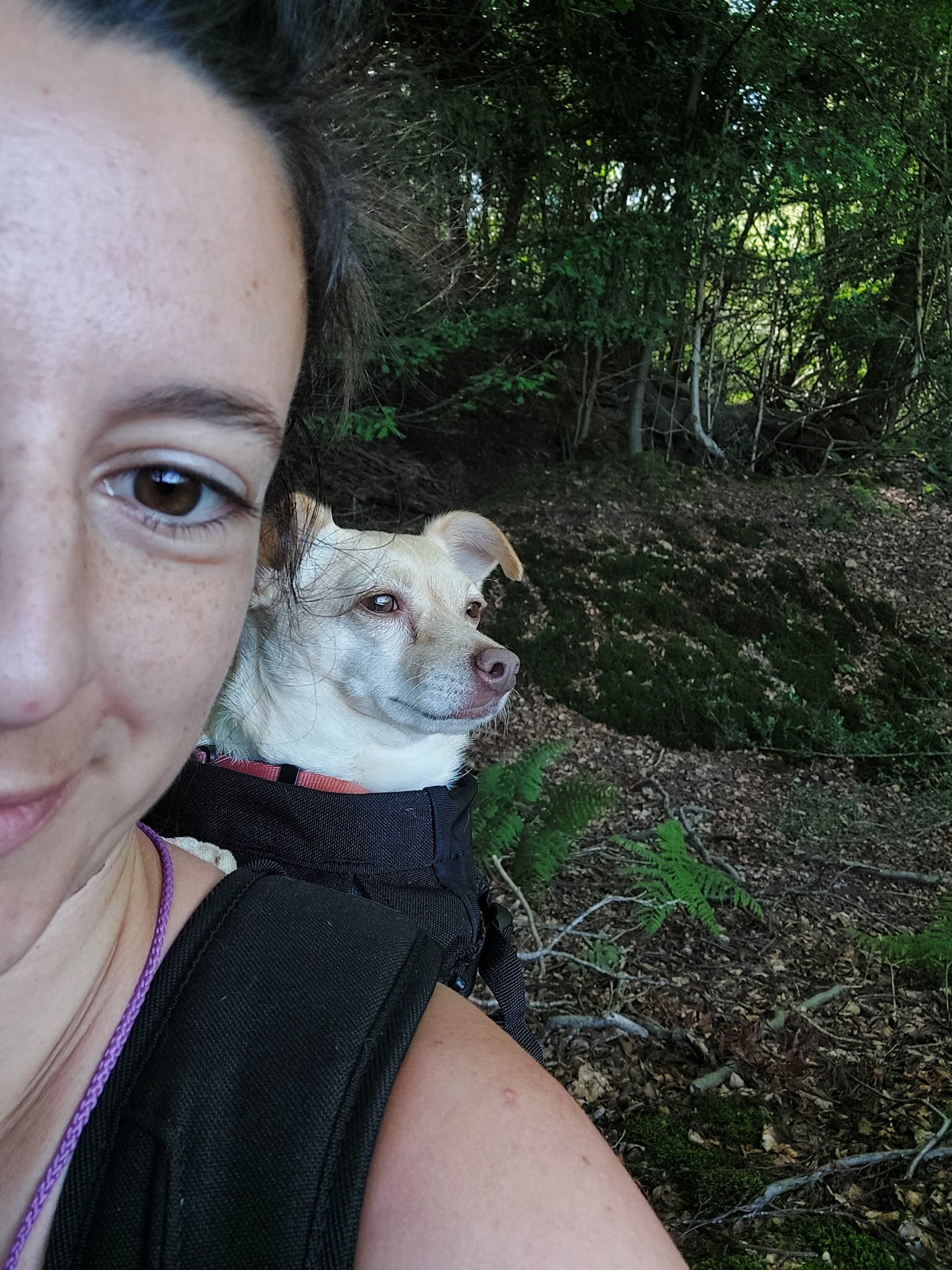 5BD18279-144D-413B-A4E1-E2B2AFAA8D59