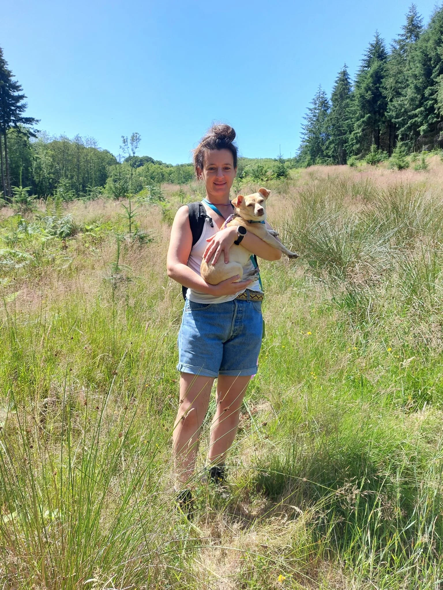 89A0B985-84EB-4081-9520-003A194BC0A2