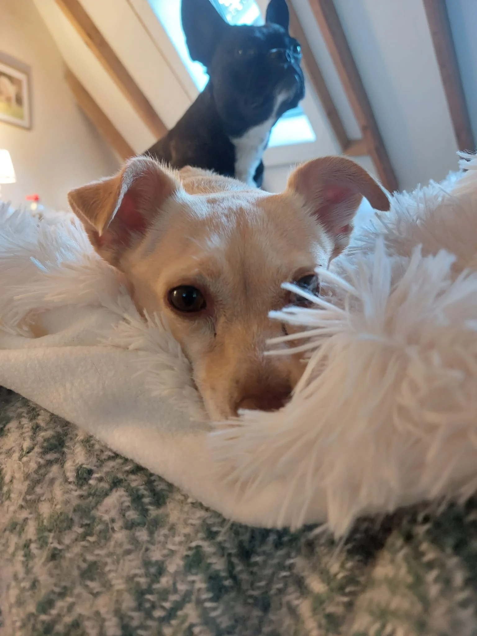 52F2CF2A-3C8E-4220-89F6-2BBFCF53903B