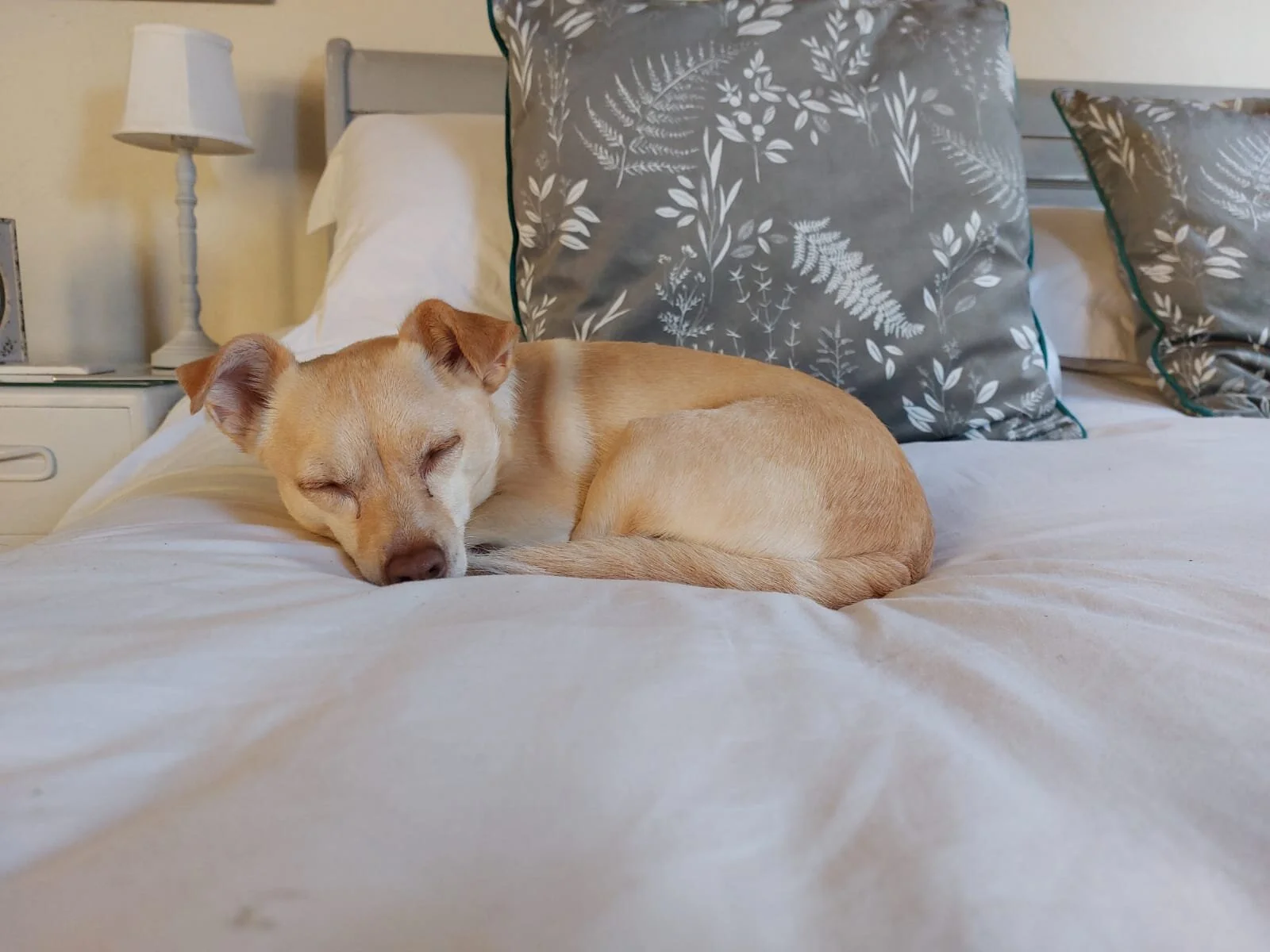 97706827-59EF-48DB-B696-F06CB986AC2D