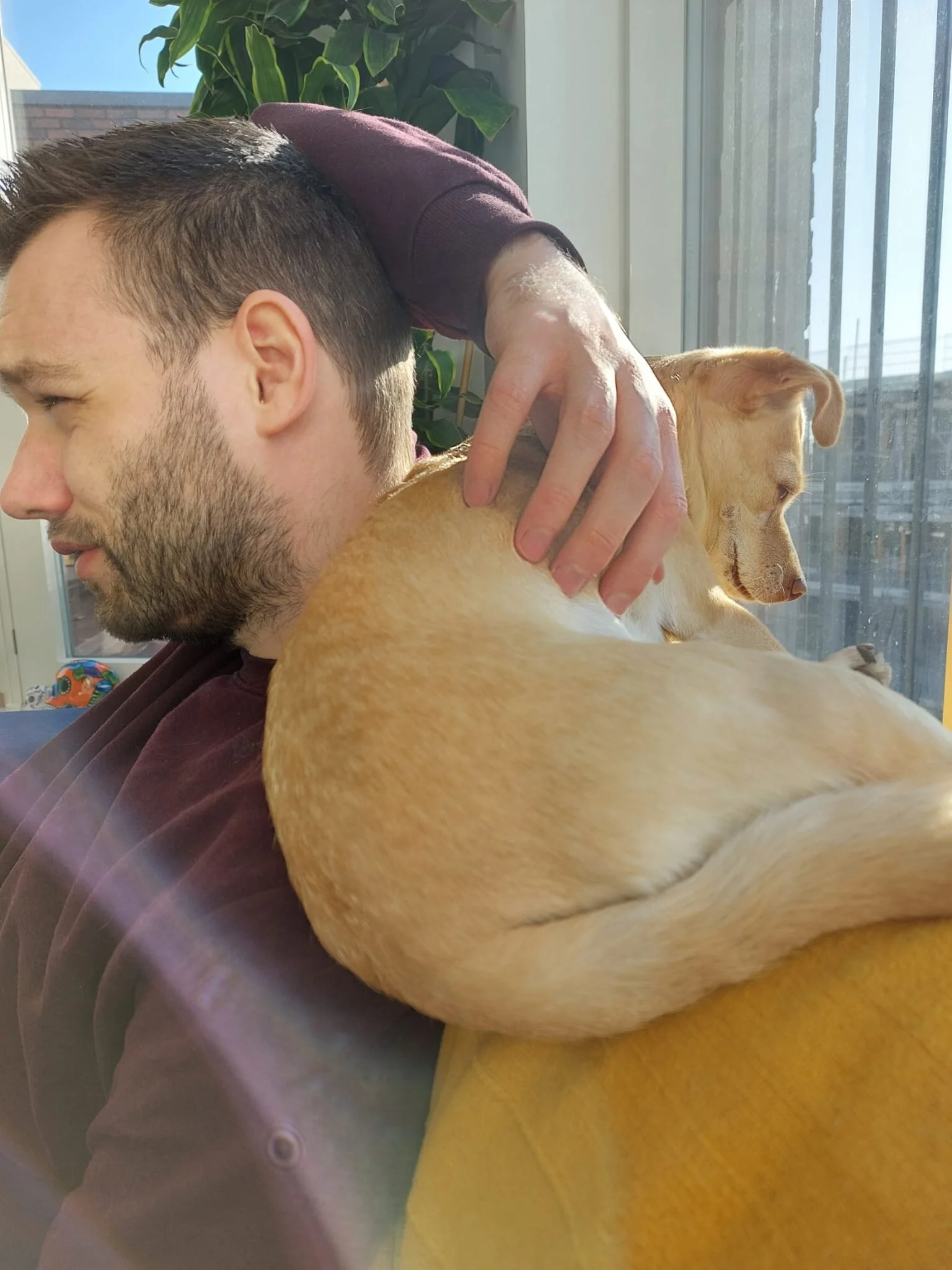 4A4A2D64-054E-4E48-B18E-E937B4FC3787