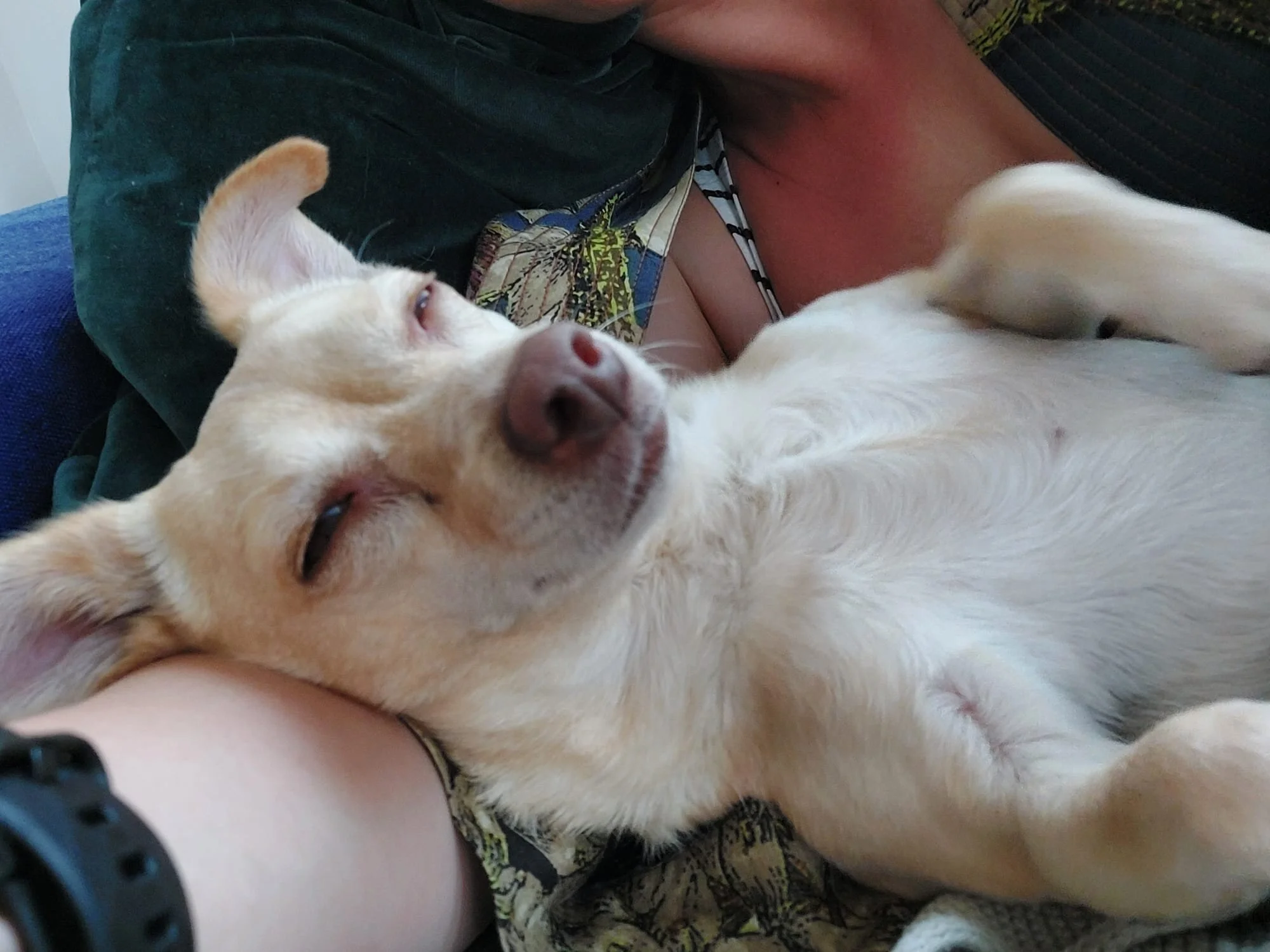 F3492E70-75DC-4107-BC70-3367A5217346