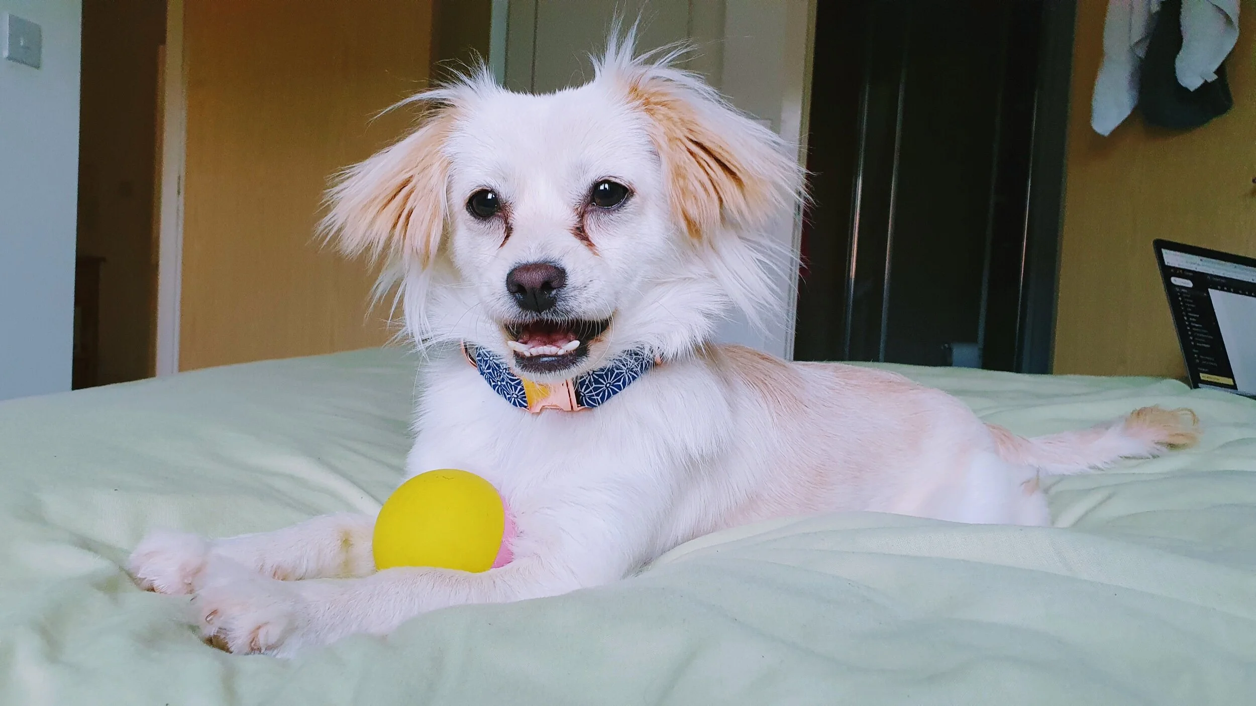 CF8576D3-5BB0-4A40-B8D9-7417928C93D4