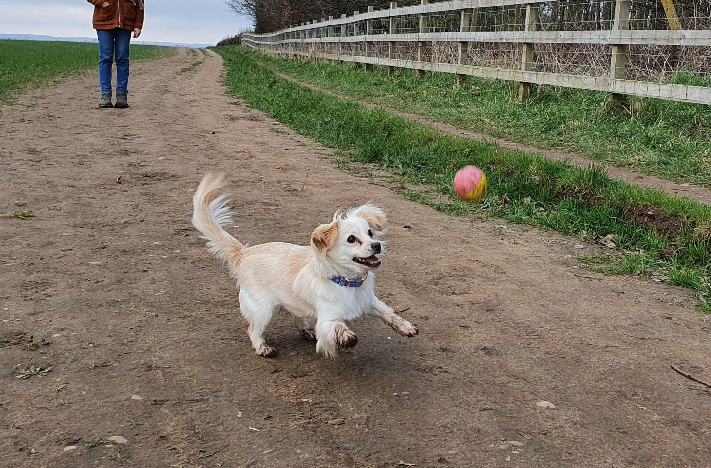 181C0C3F-ECC5-4EFE-A9A5-B10D050A3C38